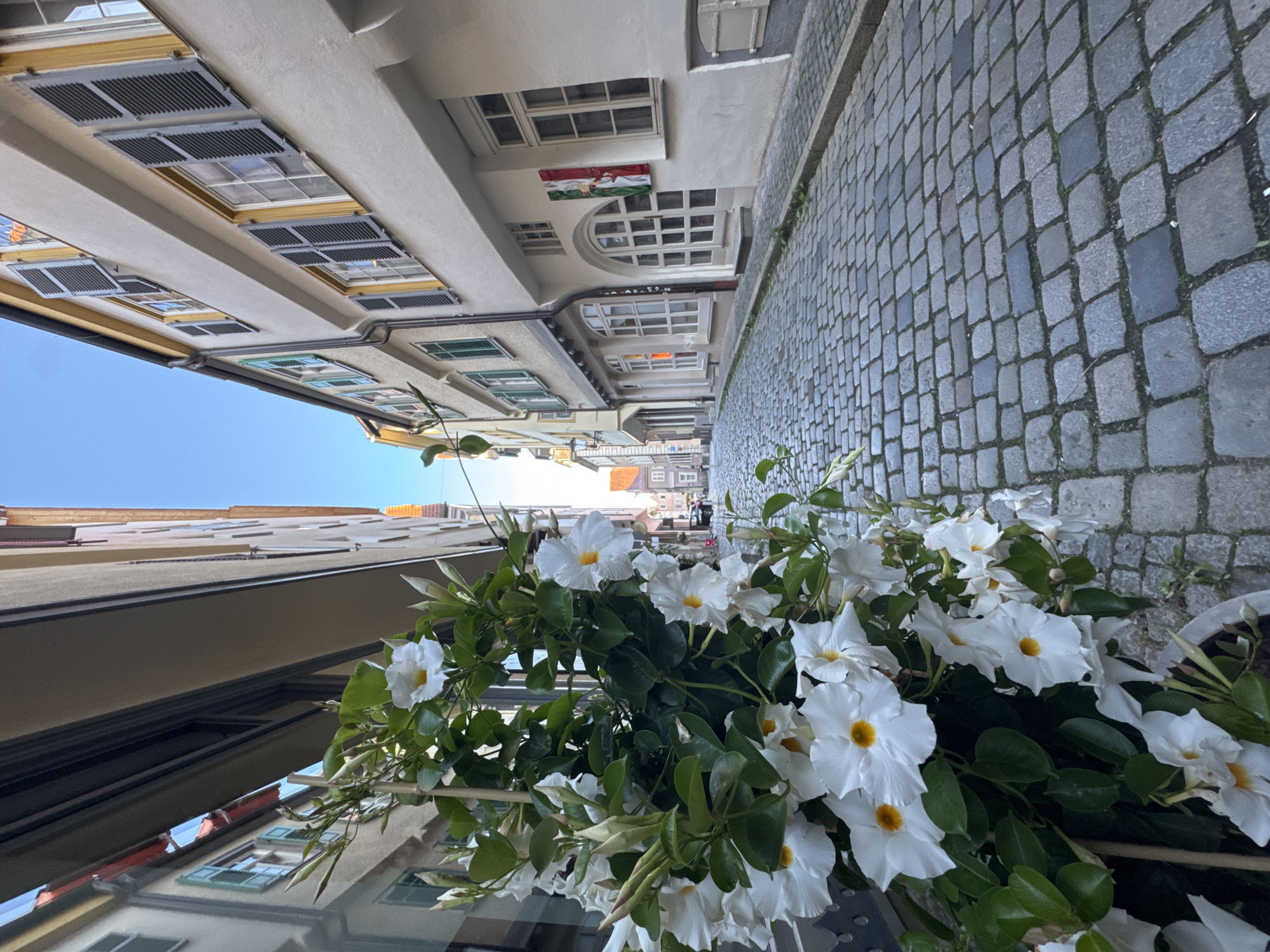 Sunny afternoon exploring historic Esslingen am Neckar from multiple perspectives