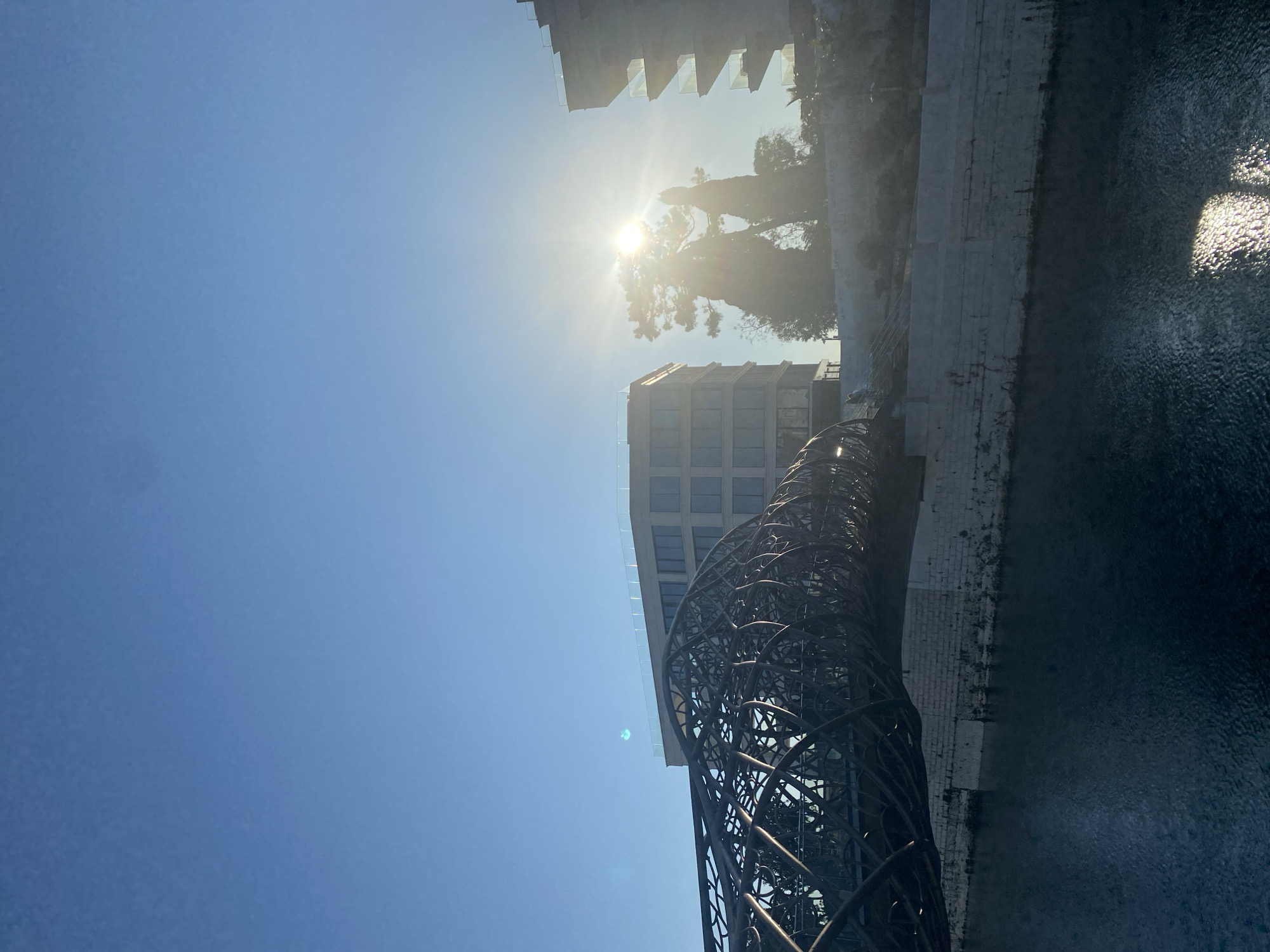 Sunny afternoon scenes captured in Sochi featuring sculpture and palms