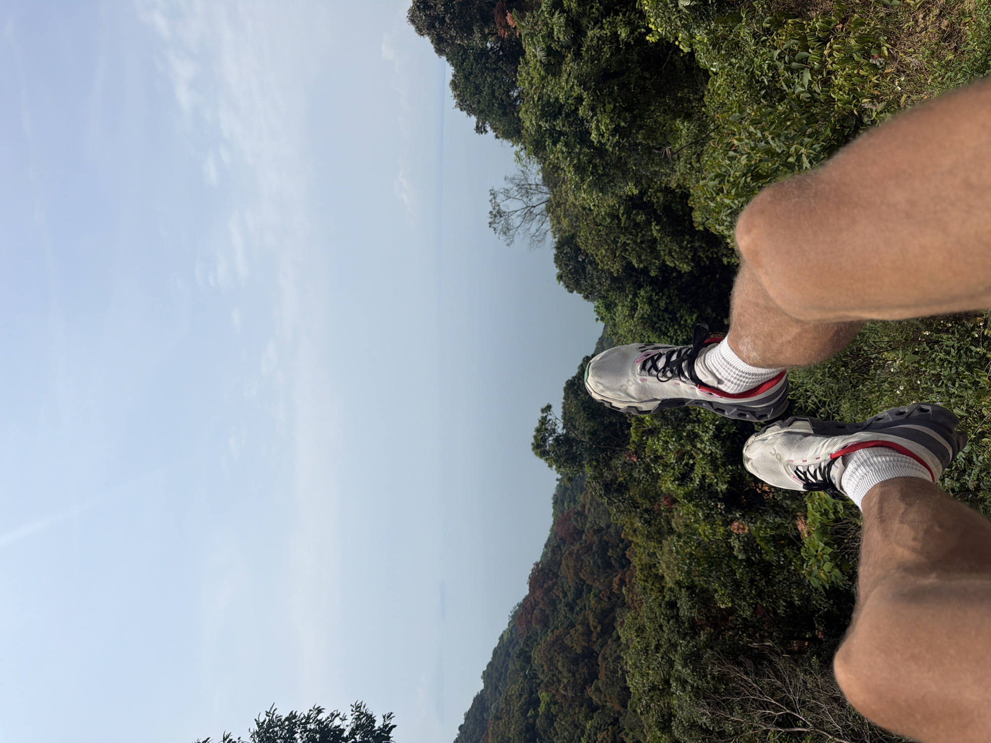 Person sits on hillside overlooking forest in Đà Nẵng