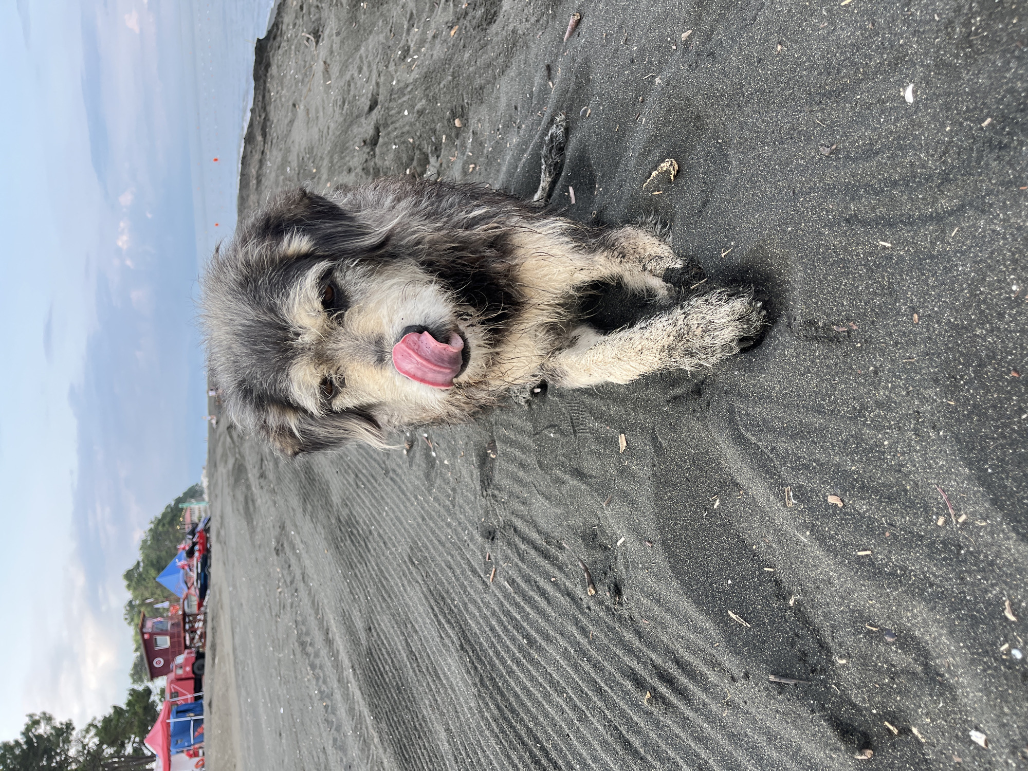 Quiet morning on Ureki's black sand beach by the Black Sea