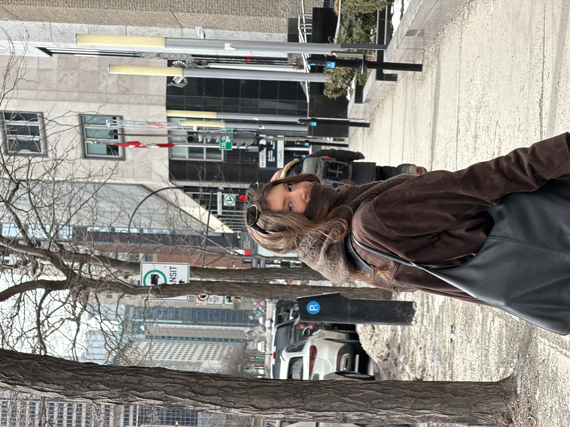 Public art and architecture documented in downtown Montreal