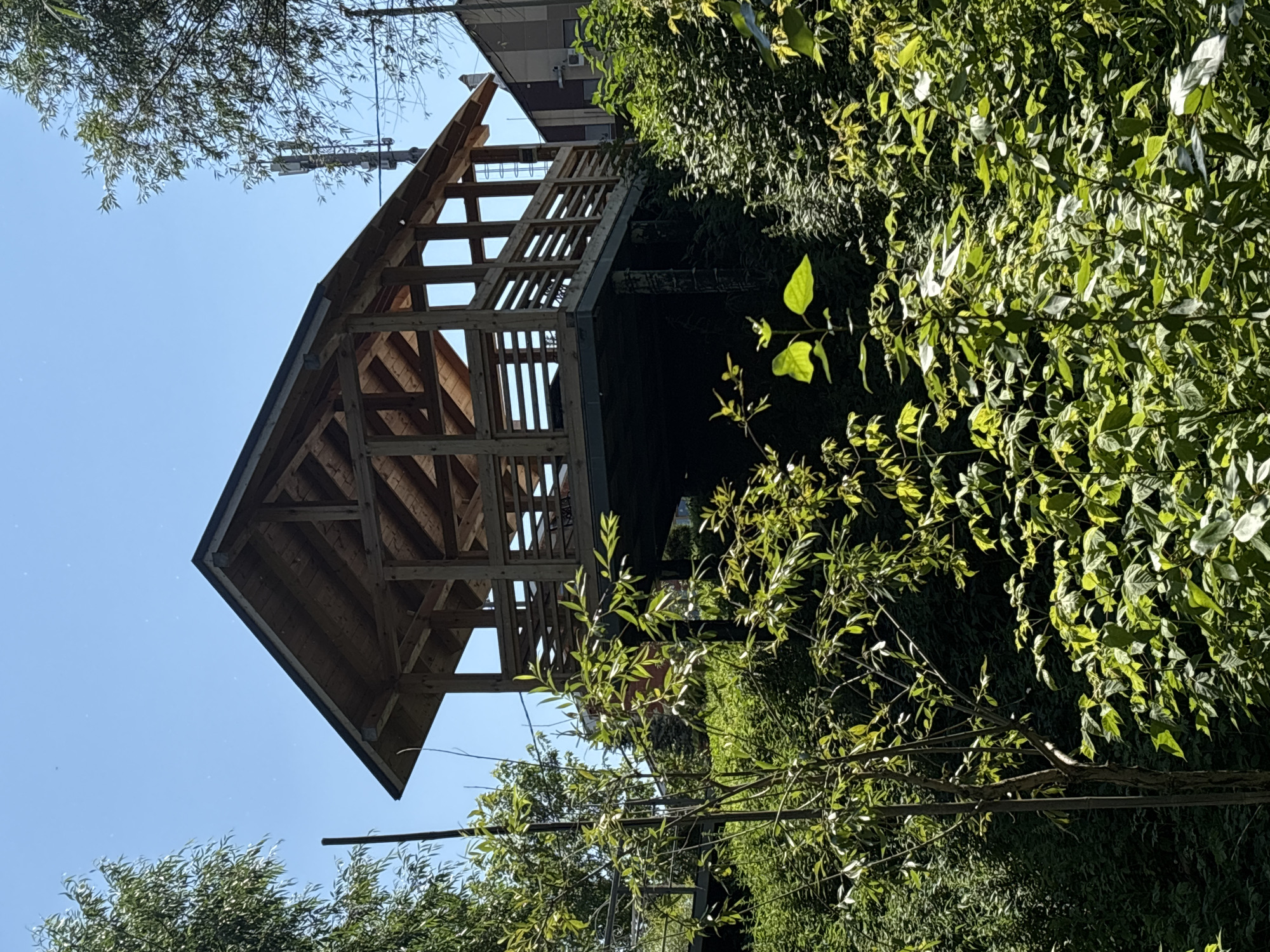 Hillside park in Kazan — gazebo, bird feeders, and a dog