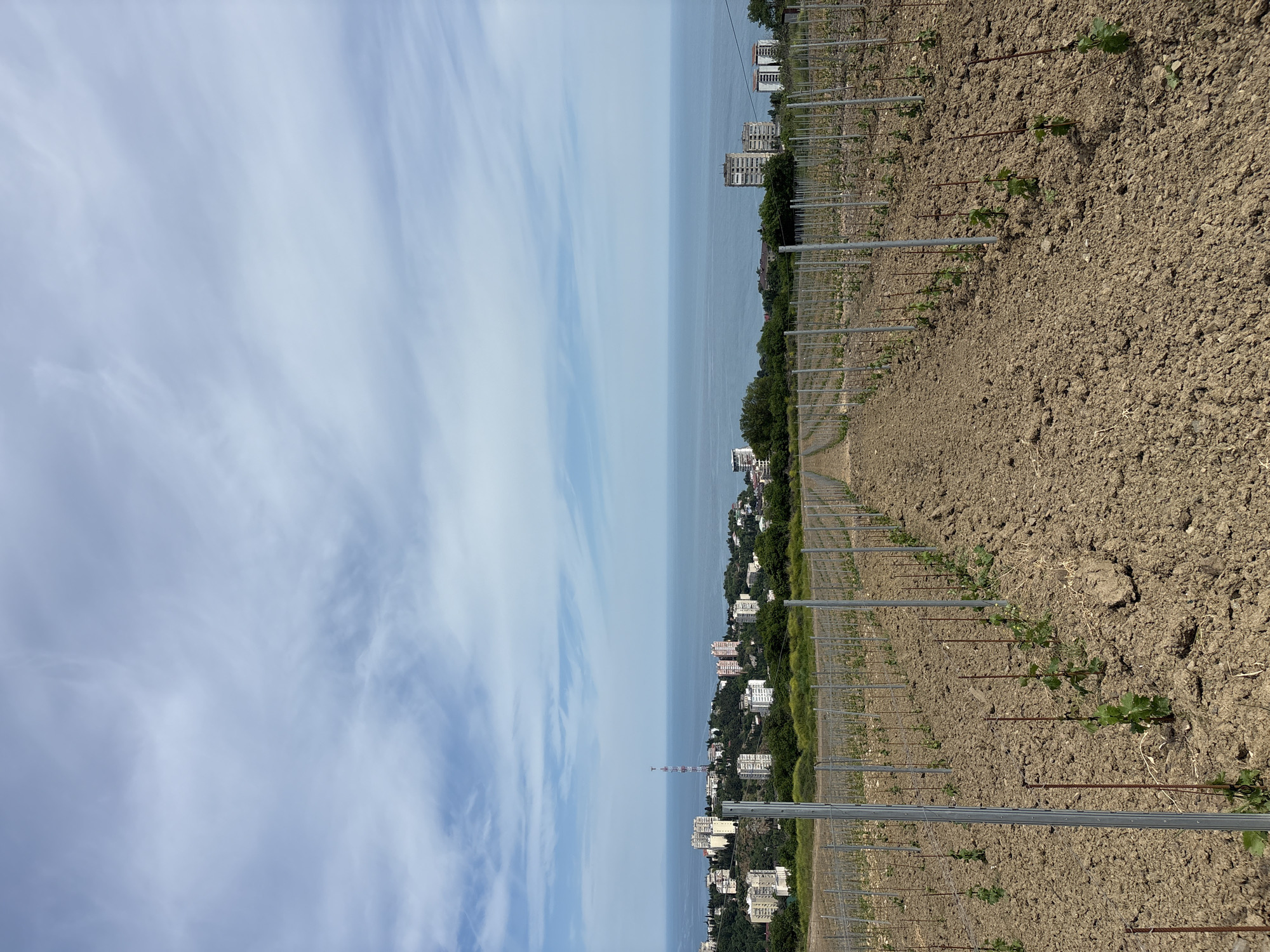 Spring vineyard work documented in Partenit, Ukraine