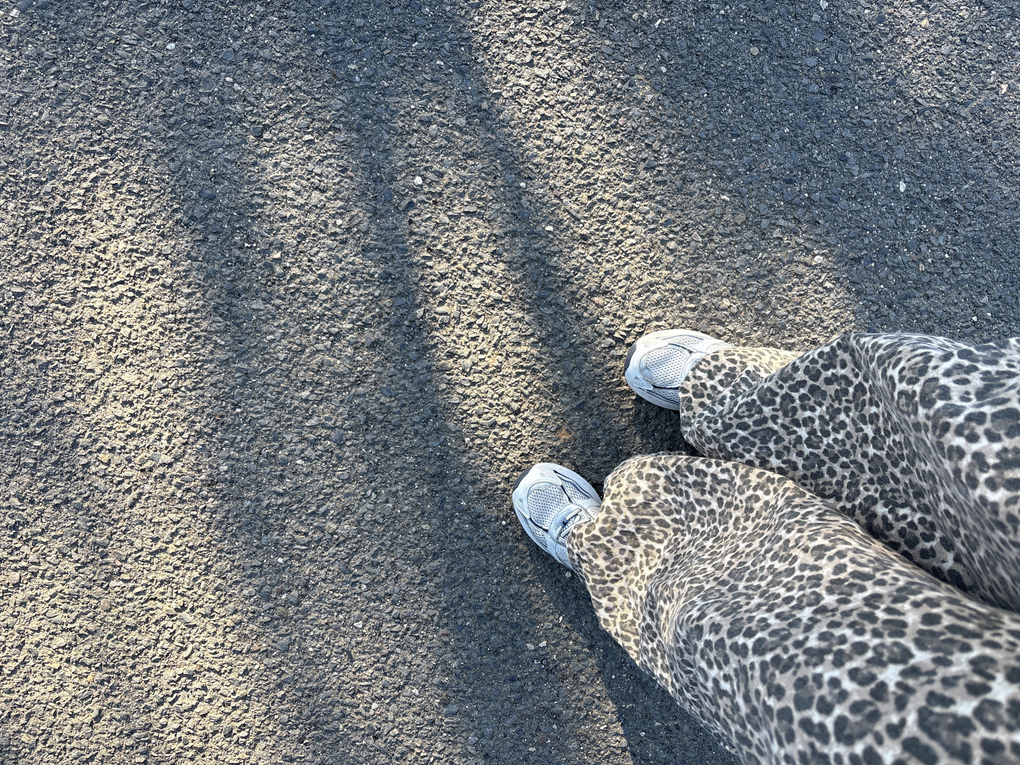Morning pedestrian spotted on residential street in Spain
