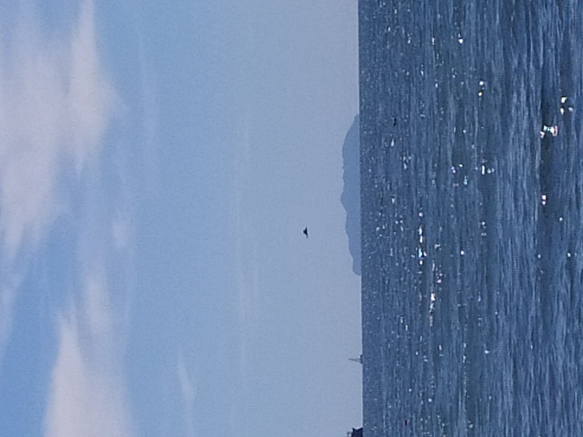 Beach day activities along Livorno's Mediterranean coastline