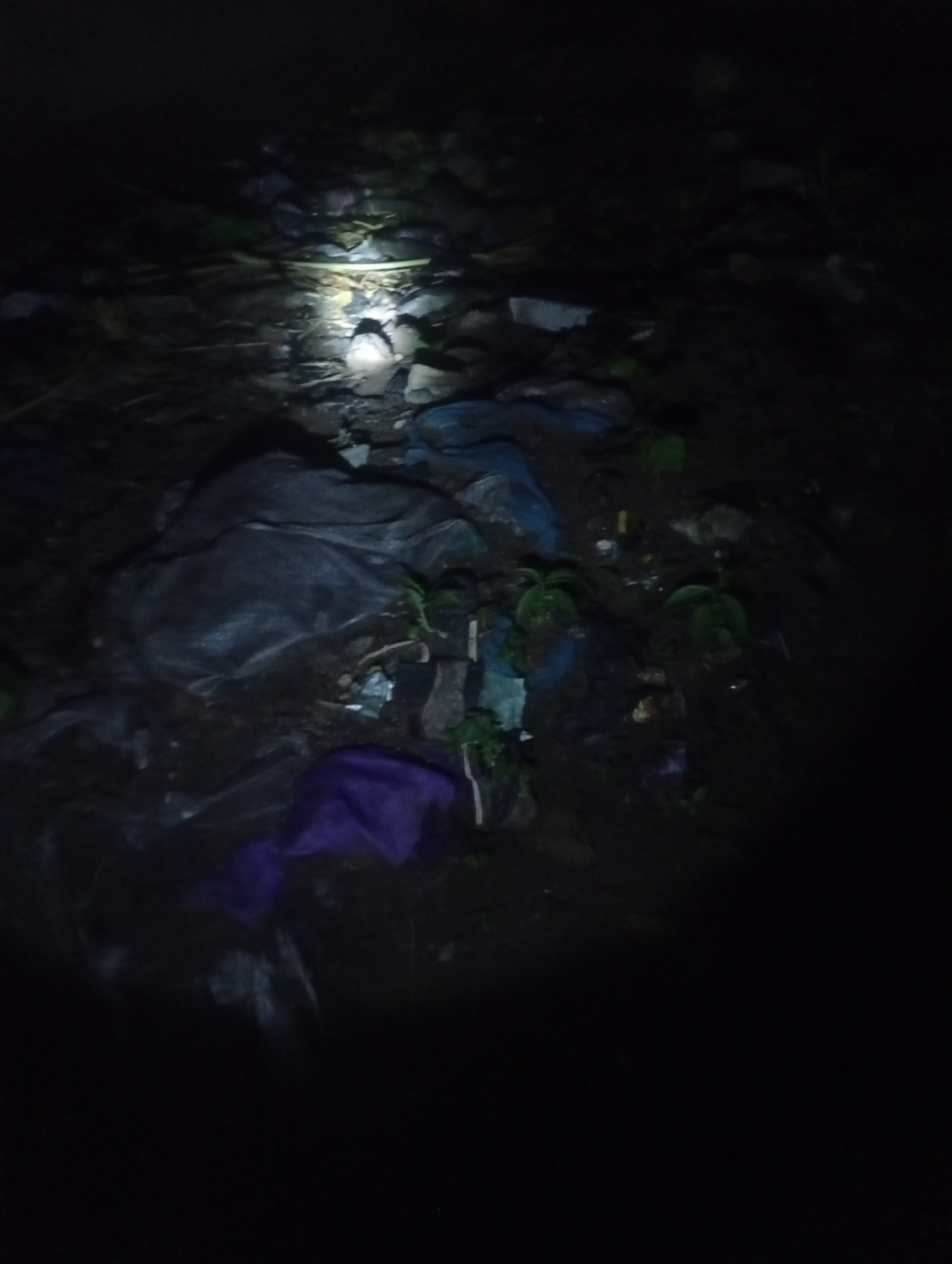 Nighttime flashlight exploration of a Jalingo dwelling and surroundings
