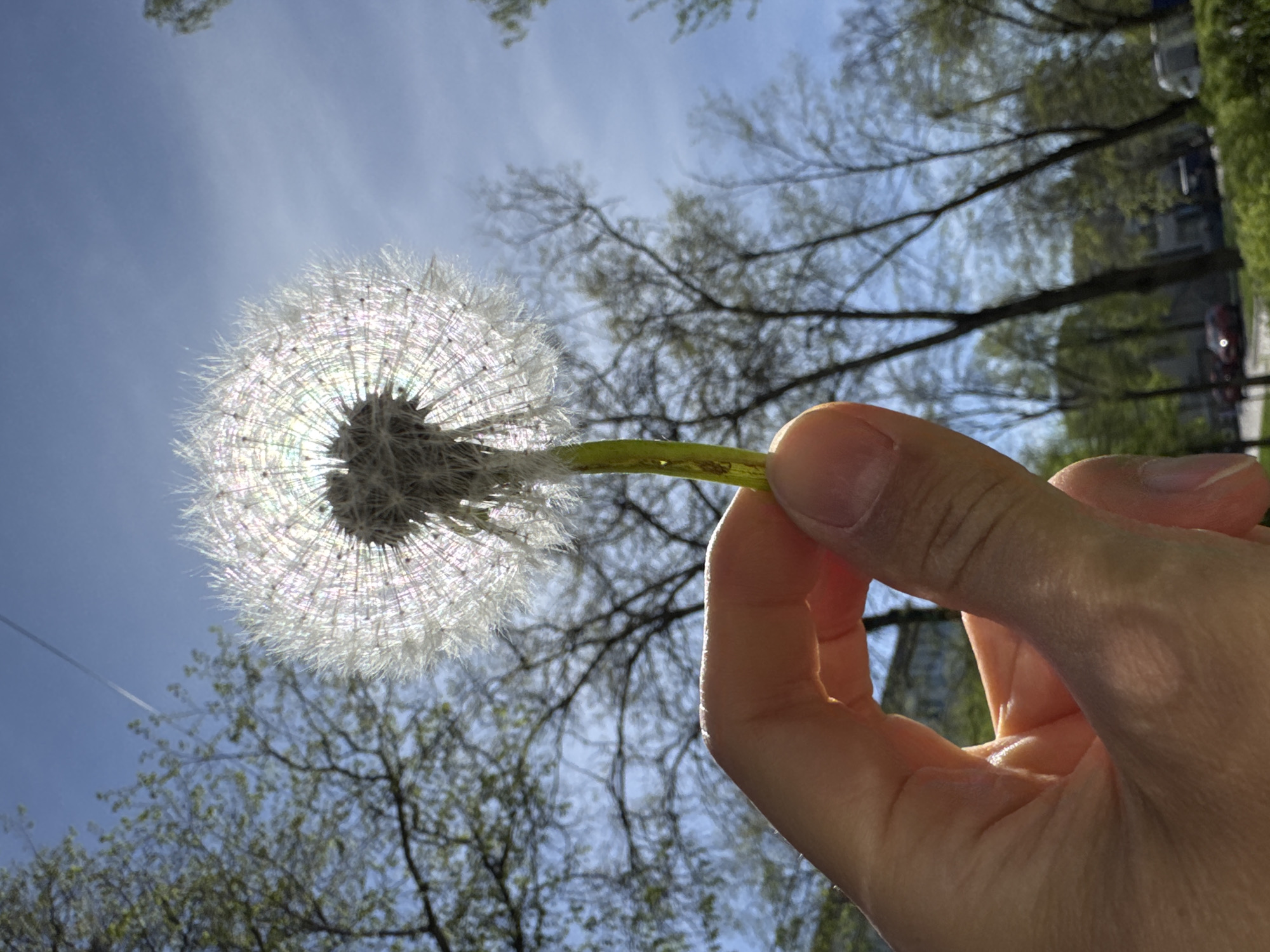 Spring morning moments captured across Chaikovsky, Russia