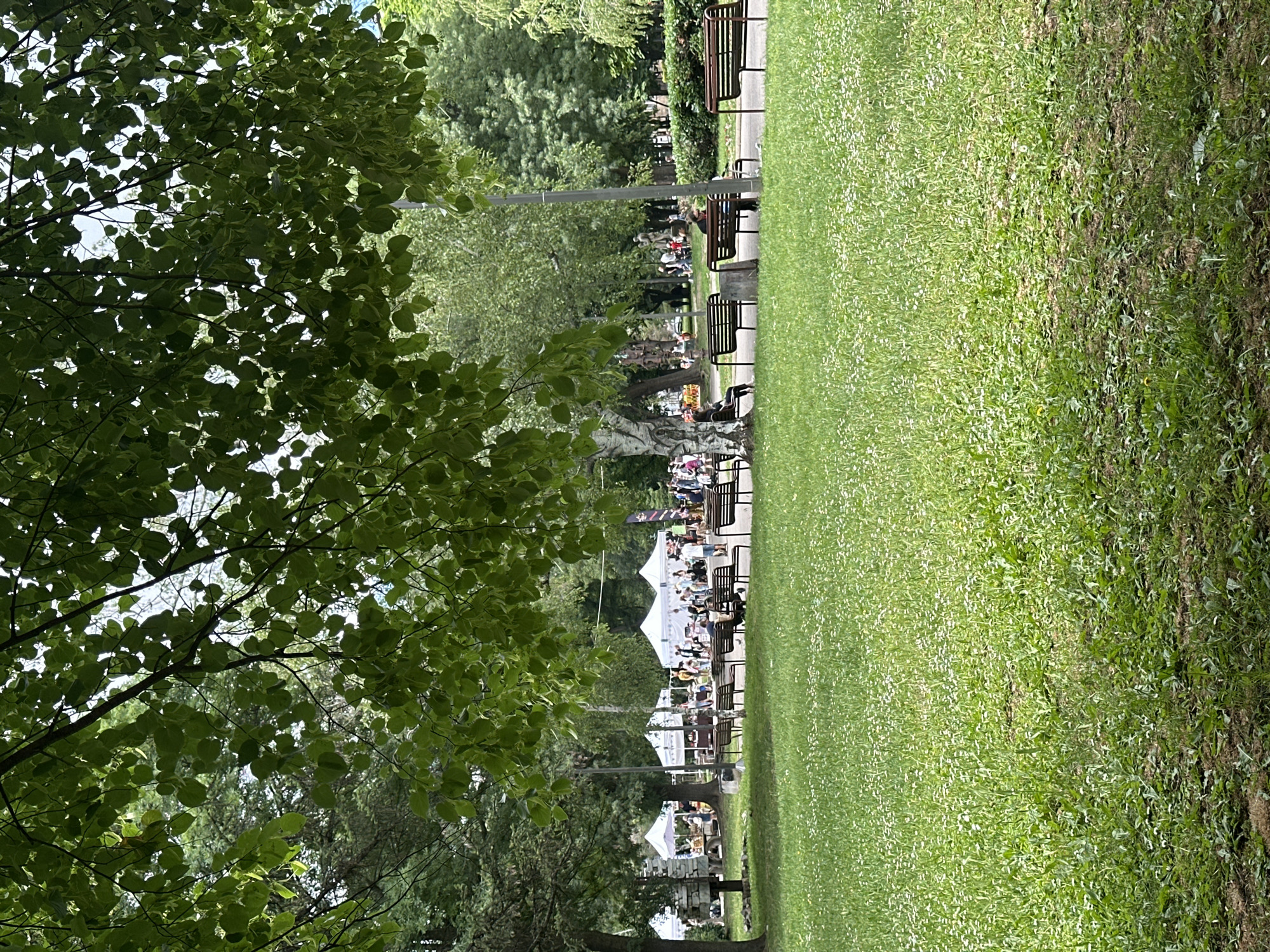 Sofia park life documented during routine daytime activities