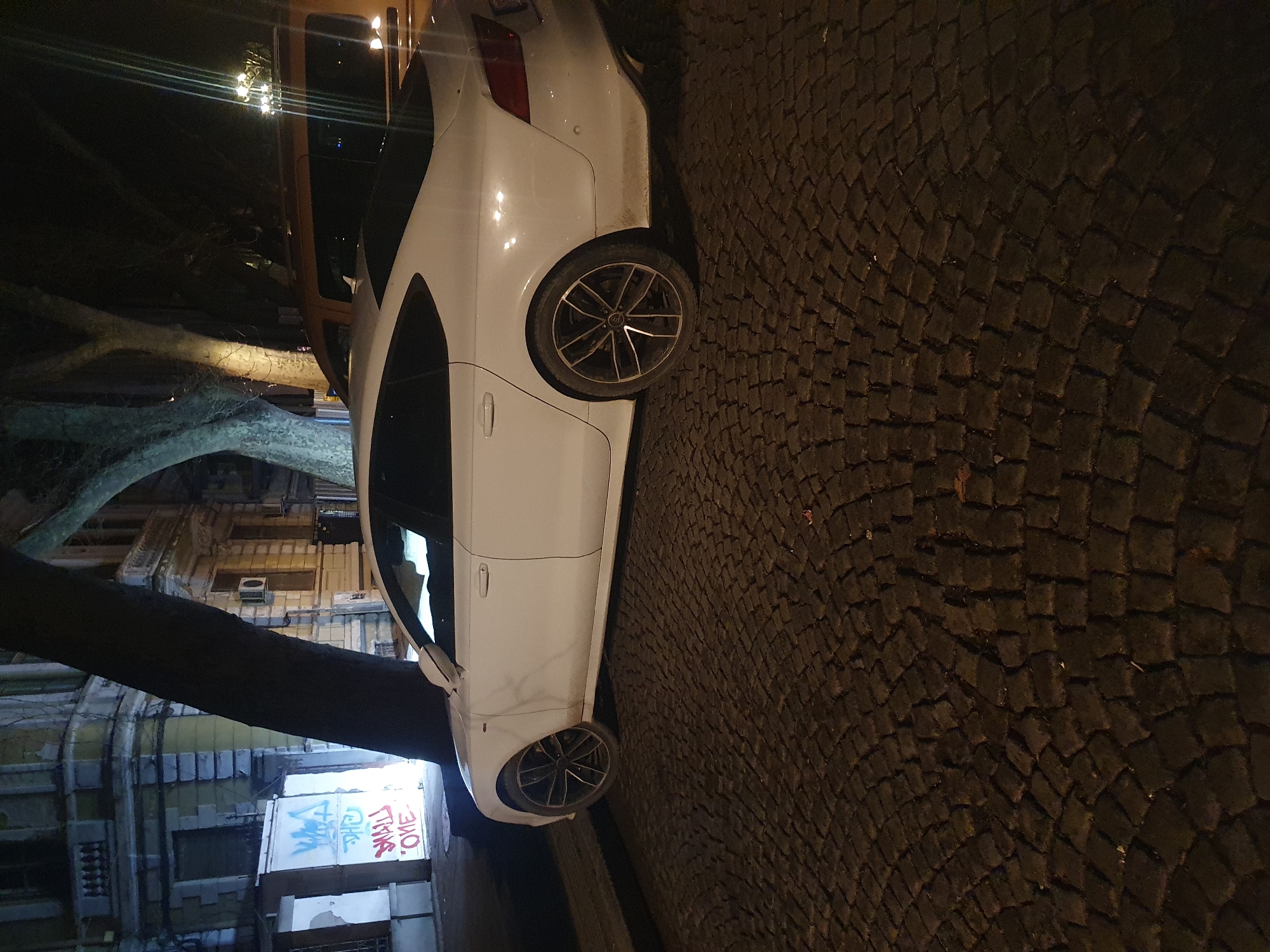 Evening street scenes and wildlife spotted in Plovdiv