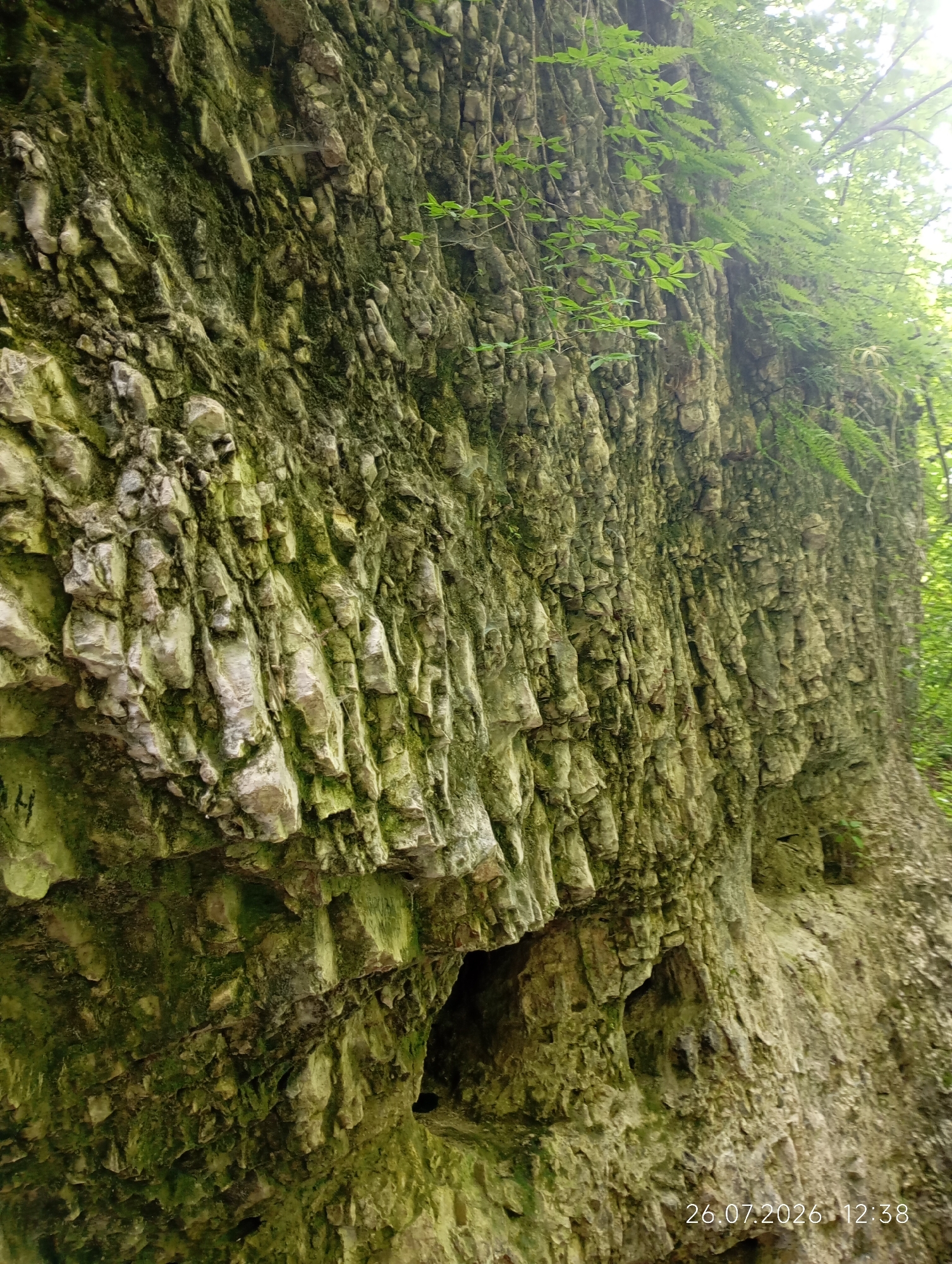 Mossy rocks, cairns, and forest floor along an unknown trail