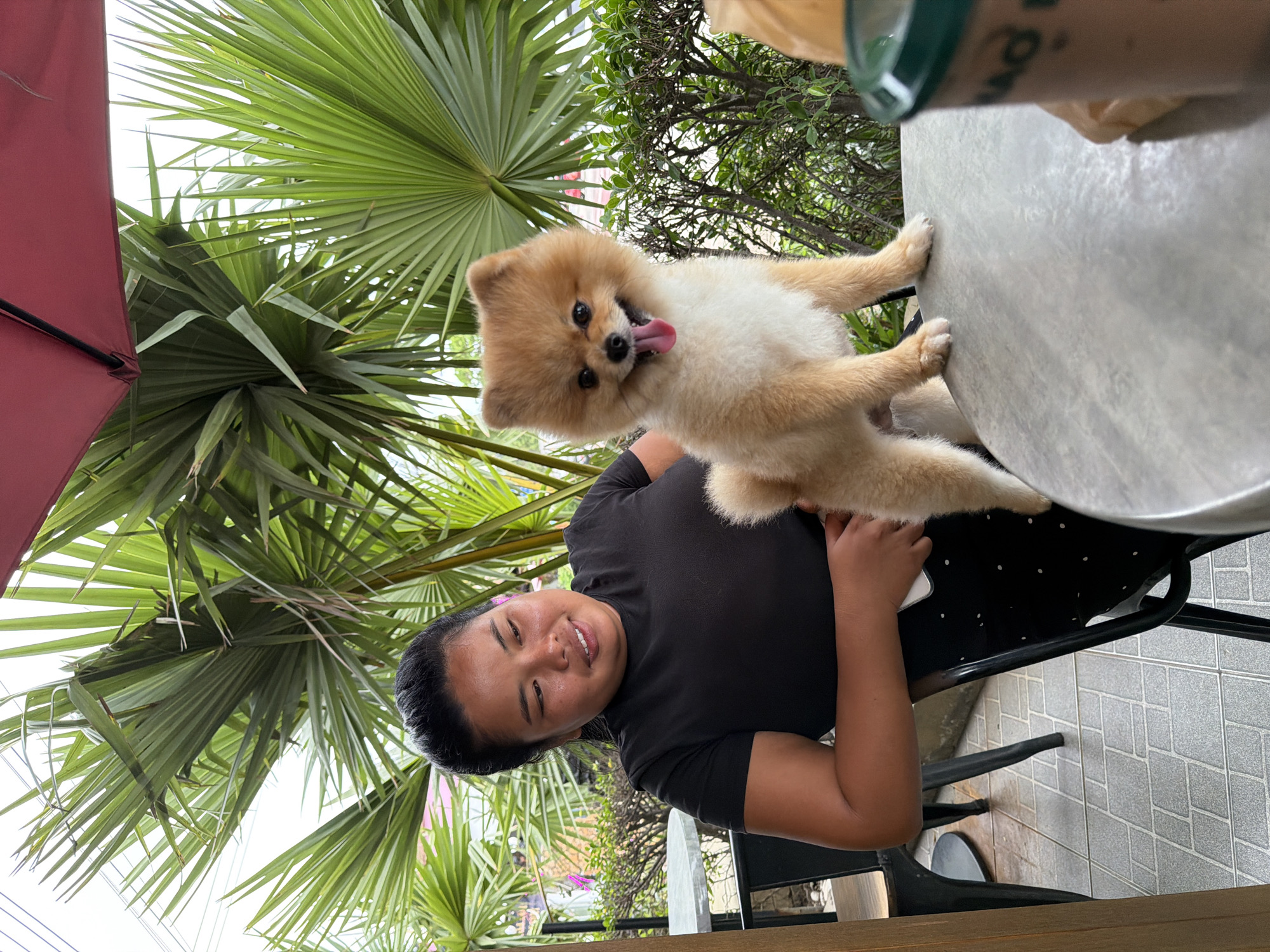 Woman enjoys morning cafe time with Pomeranian in Pattaya