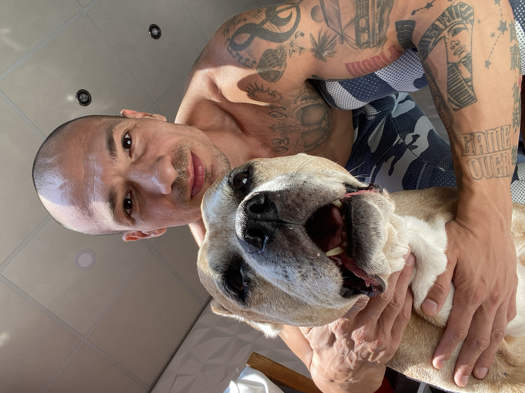 Renovation work and a dog in Pleven, Bulgaria