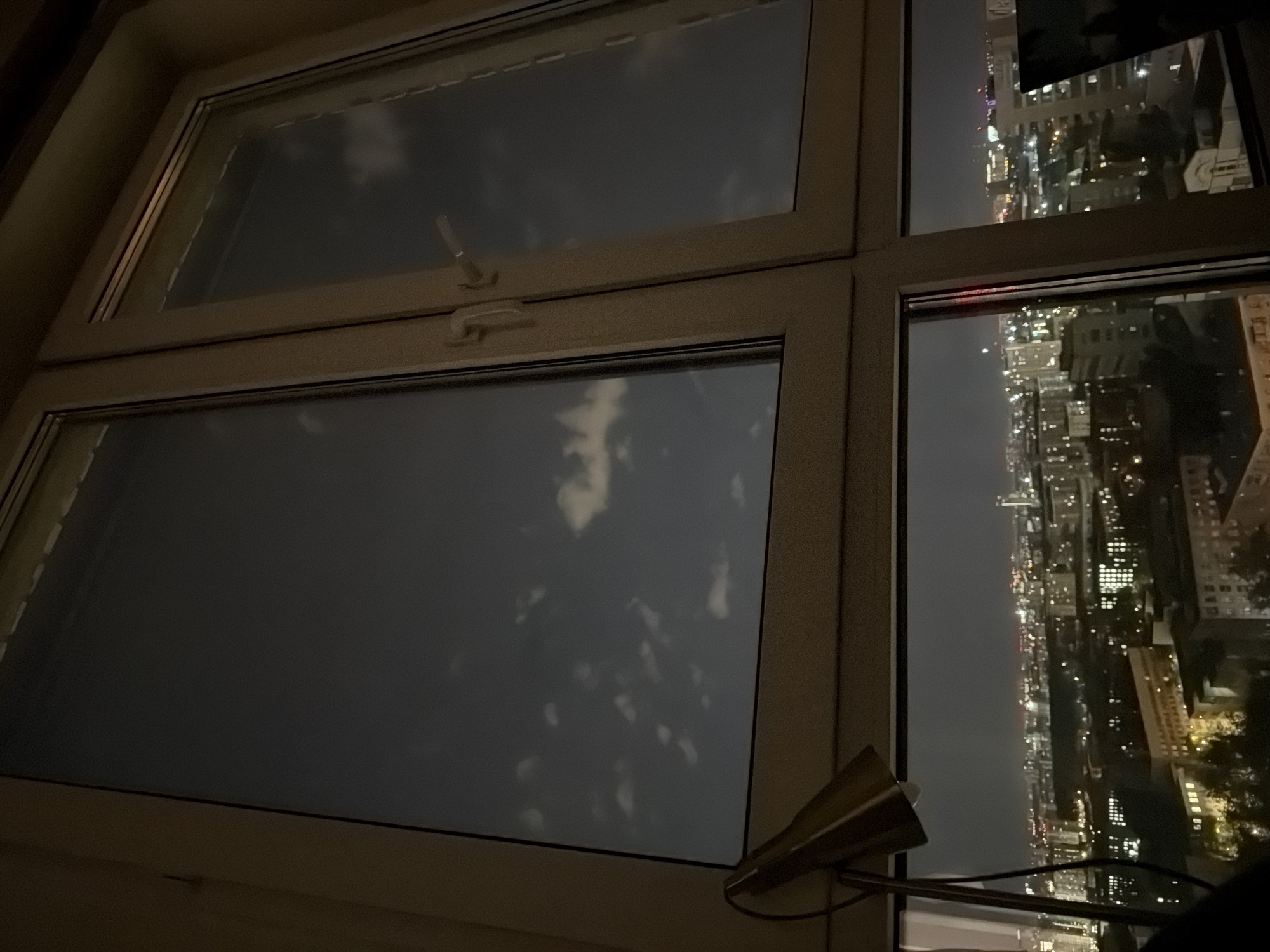Evening moments: city window view and cat petting captured