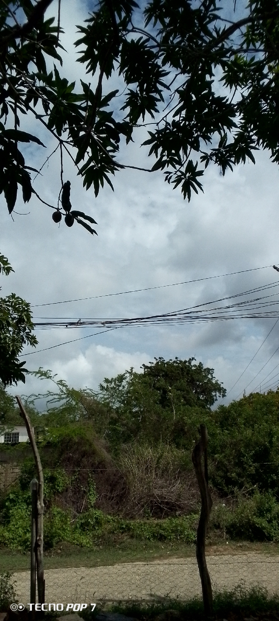 Altagracia, Venezuela