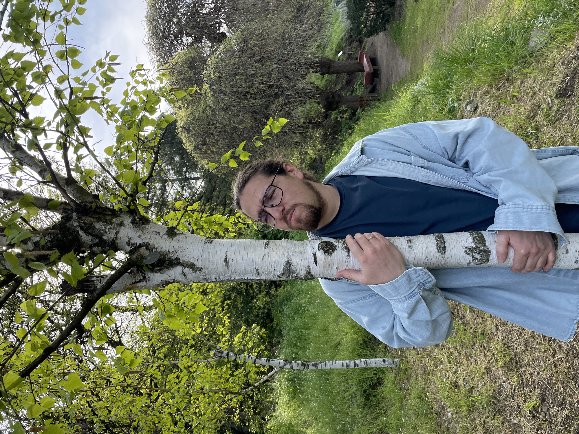 Man embraces birch tree in Tbilisi park