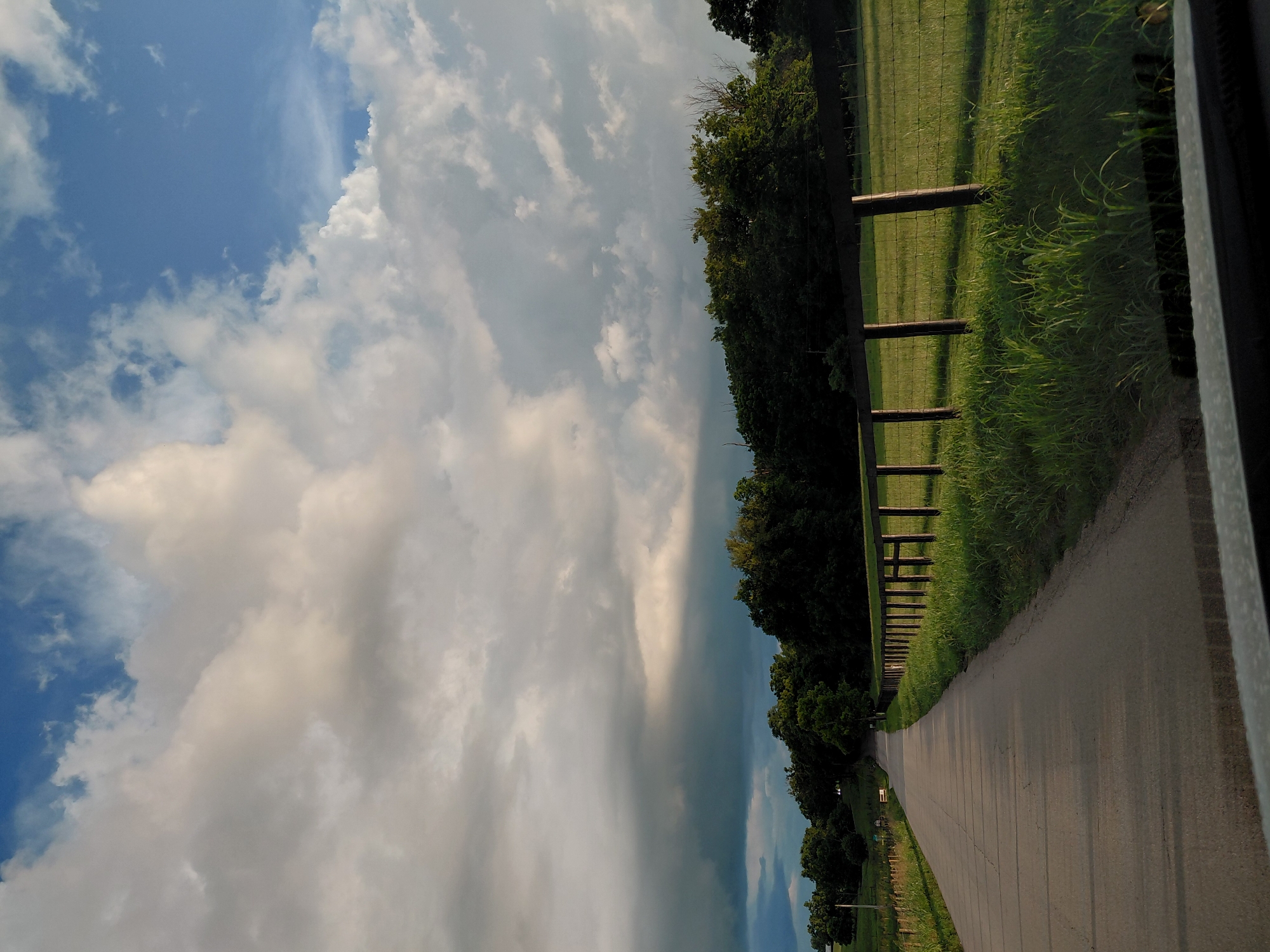 Late afternoon on a quiet rural road near Cynthiana, Kentucky