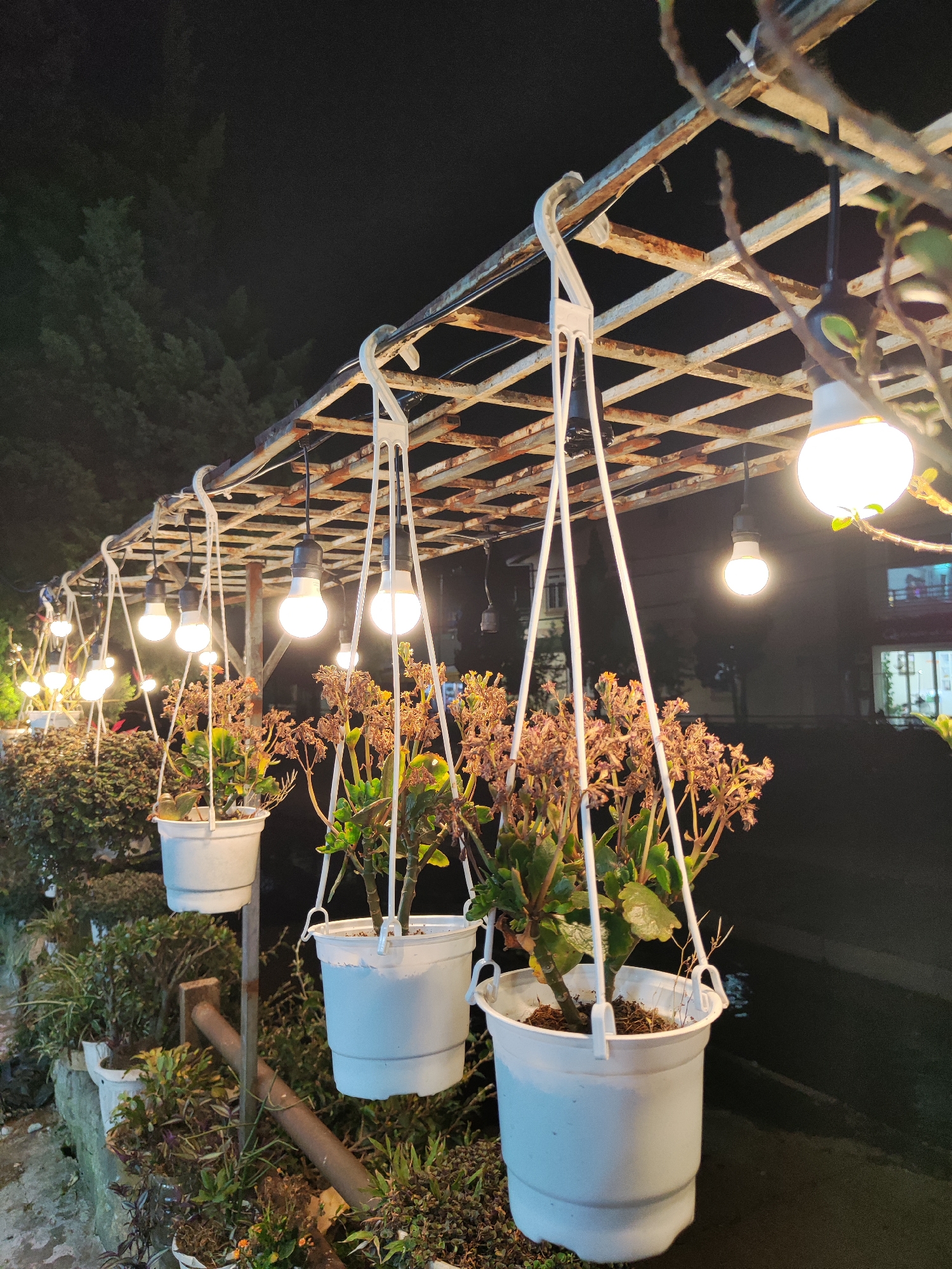 Nighttime street life documented in Da Lat's Cam Ly district