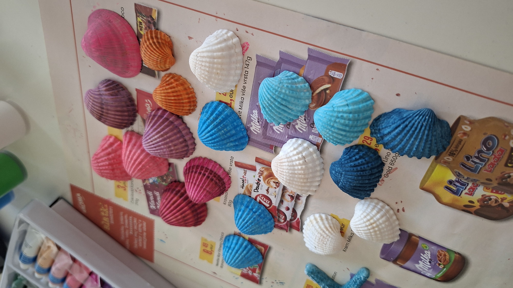 Art supplies and seashells arranged on a Podgorica tabletop