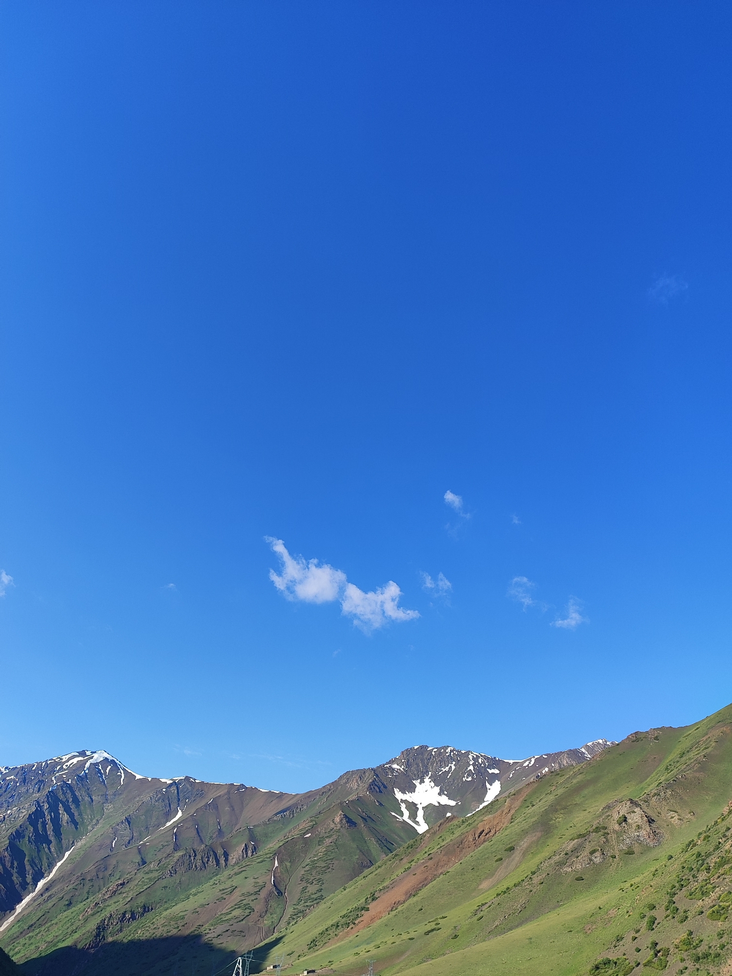 Wildflowers and mountain views in the Kyrgyz landscape