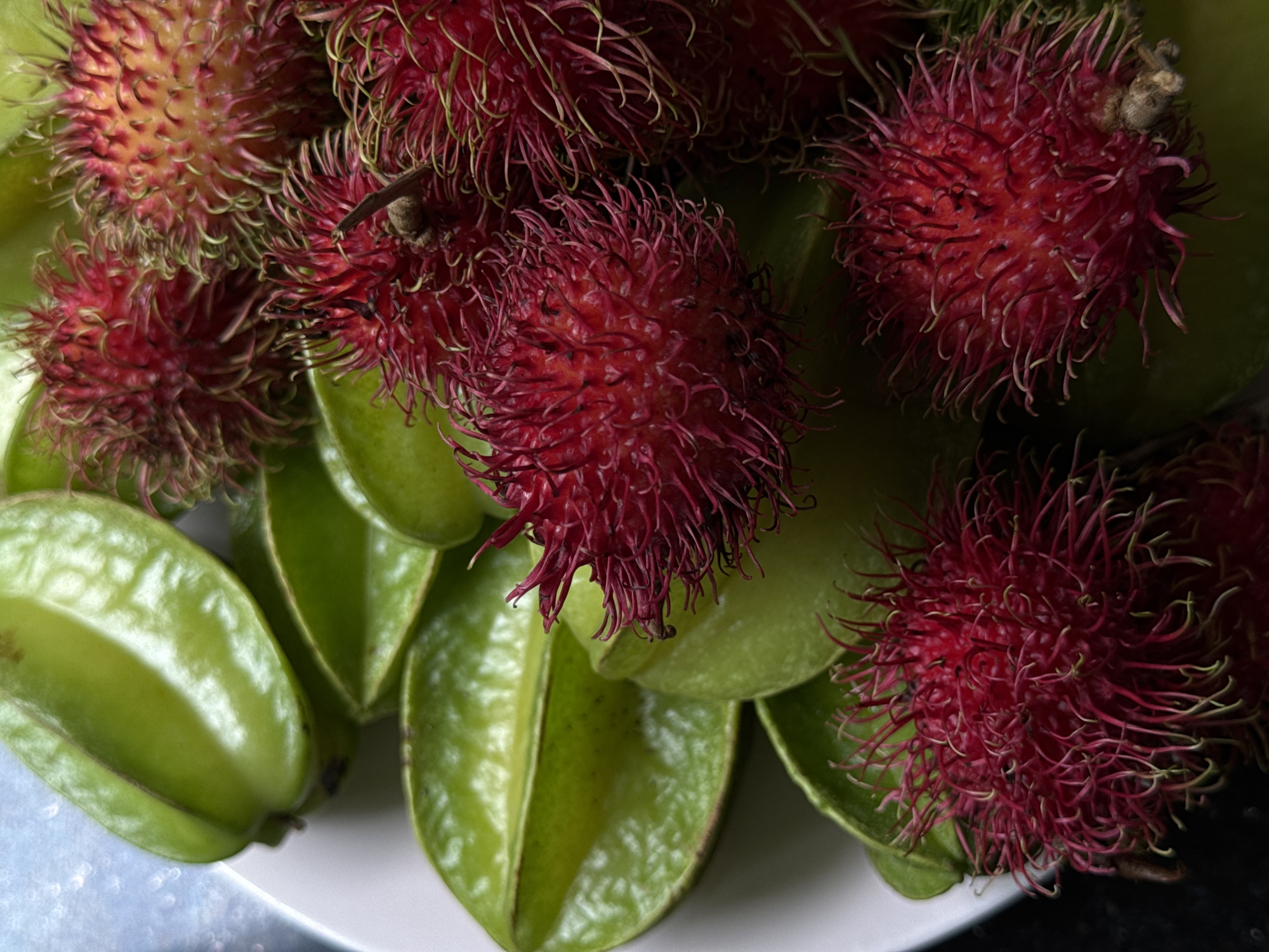 Tropical fruit close-ups in Goviyapana: rambutan, starfruit, and durian