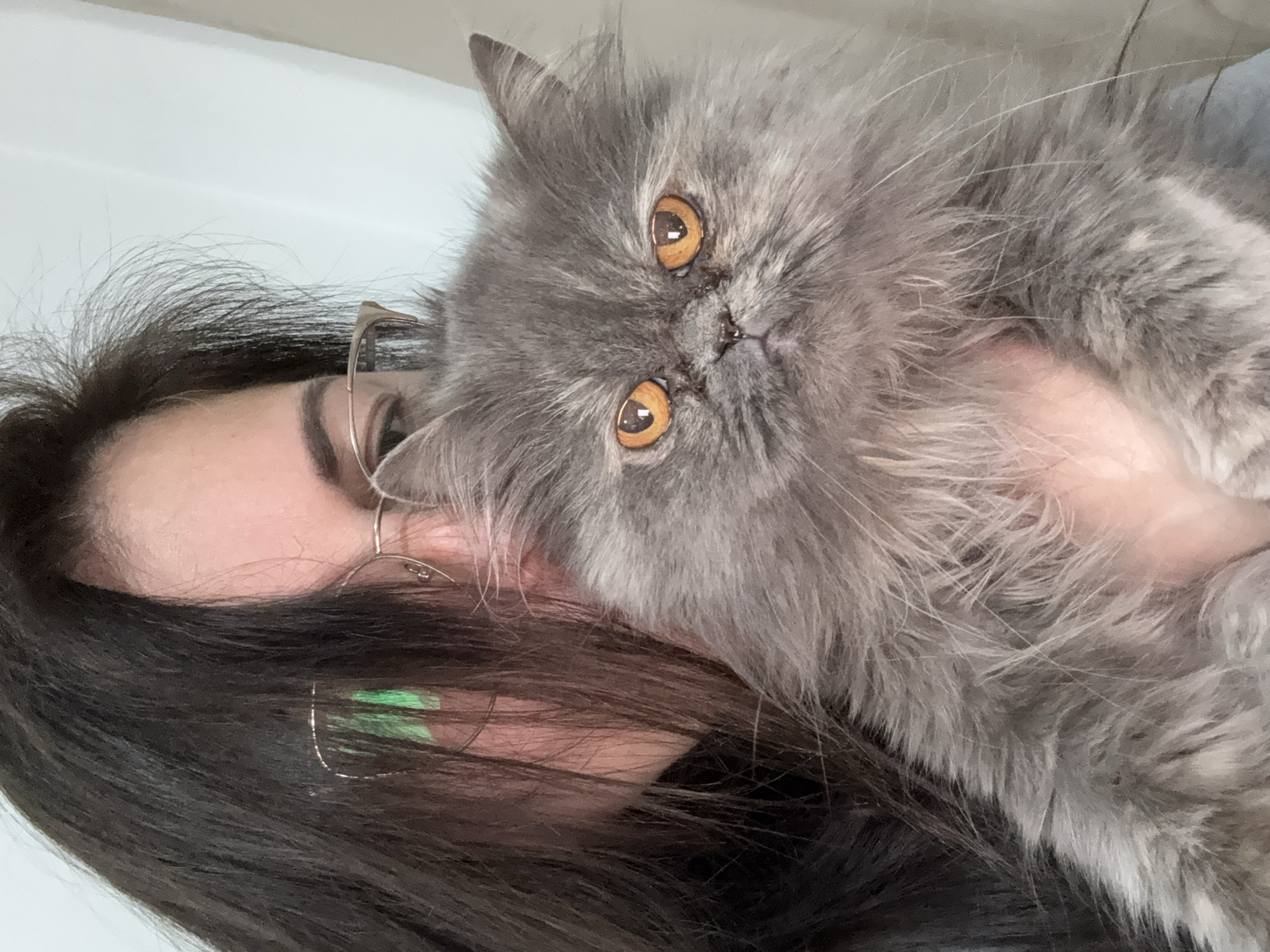 Burgas resident captures moments with Persian cat and citrus tree
