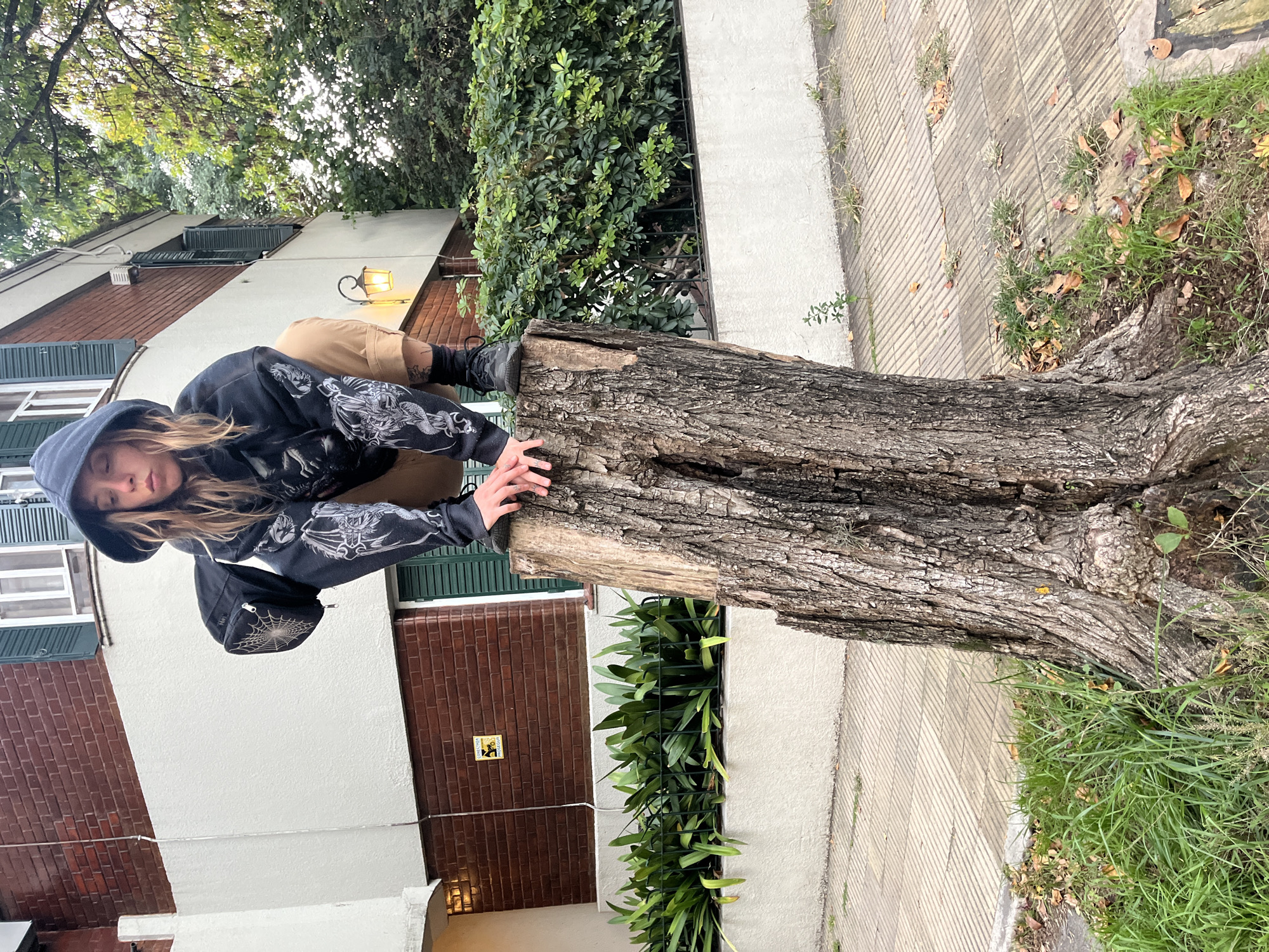 Youth photographed on tree stump in Olivos, Argentina
