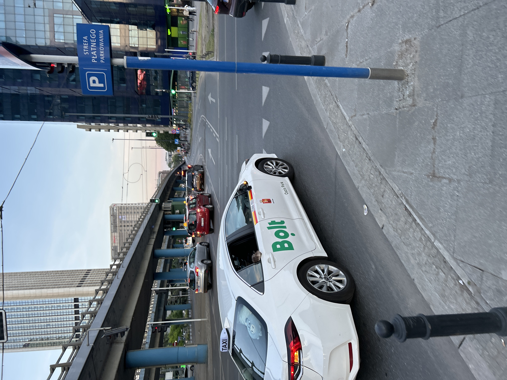Everyday Warsaw moments captured: taxi, tourist selfie, dog photo