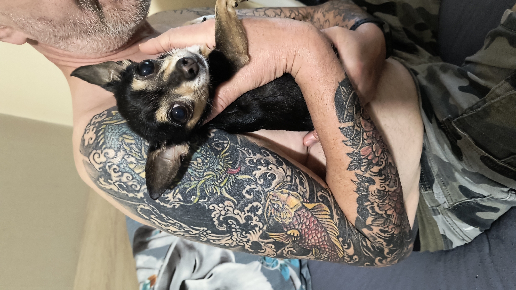 Sofia resident documents guitars, pets, and neighborhood scenes