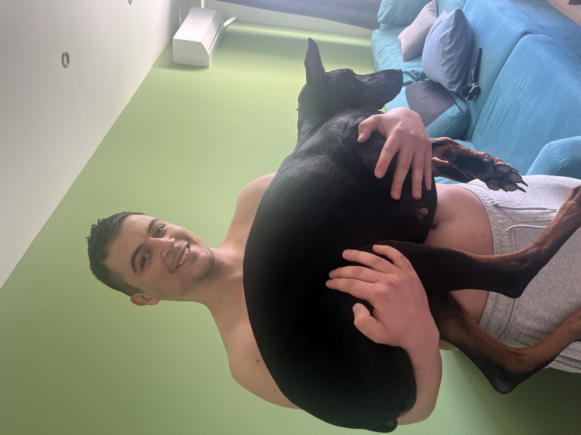 Person examines Doberman's mouth in Sofia
