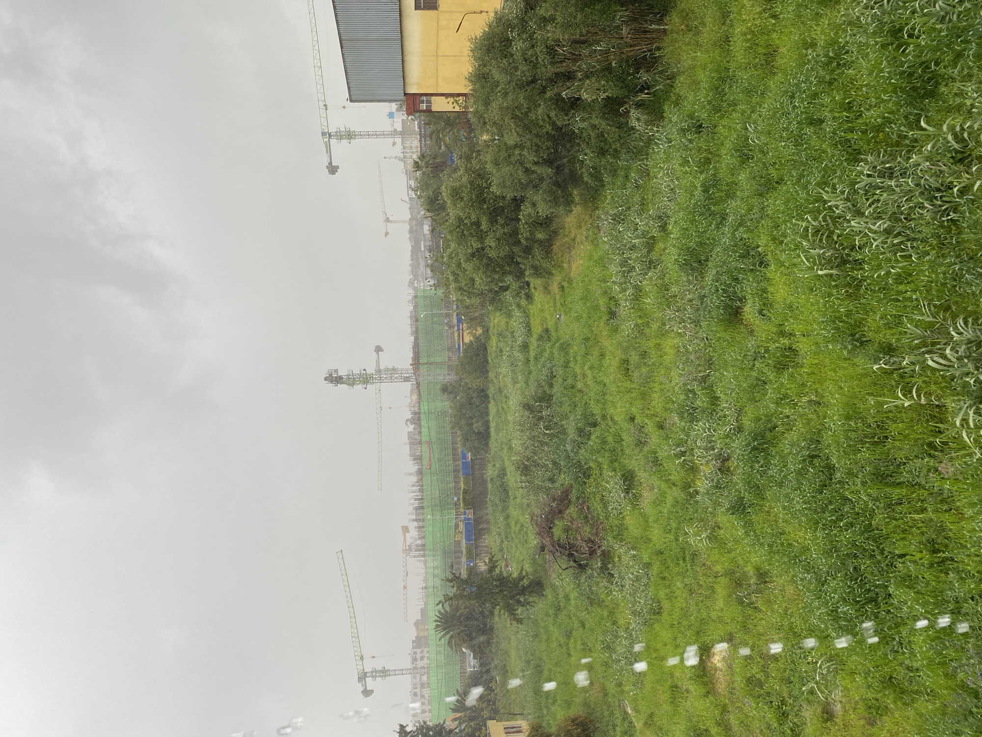 Construction activity observed amid foggy weather in Baraki, Algeria