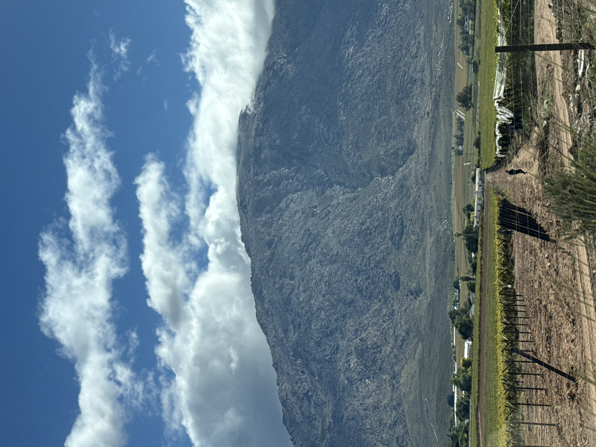 Rural vineyard landscape documented in South Africa's Breede Valley