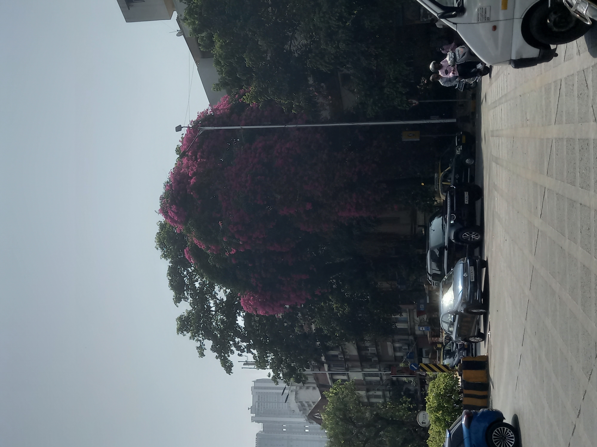 Morning street life captured near Mumbai's One International Center