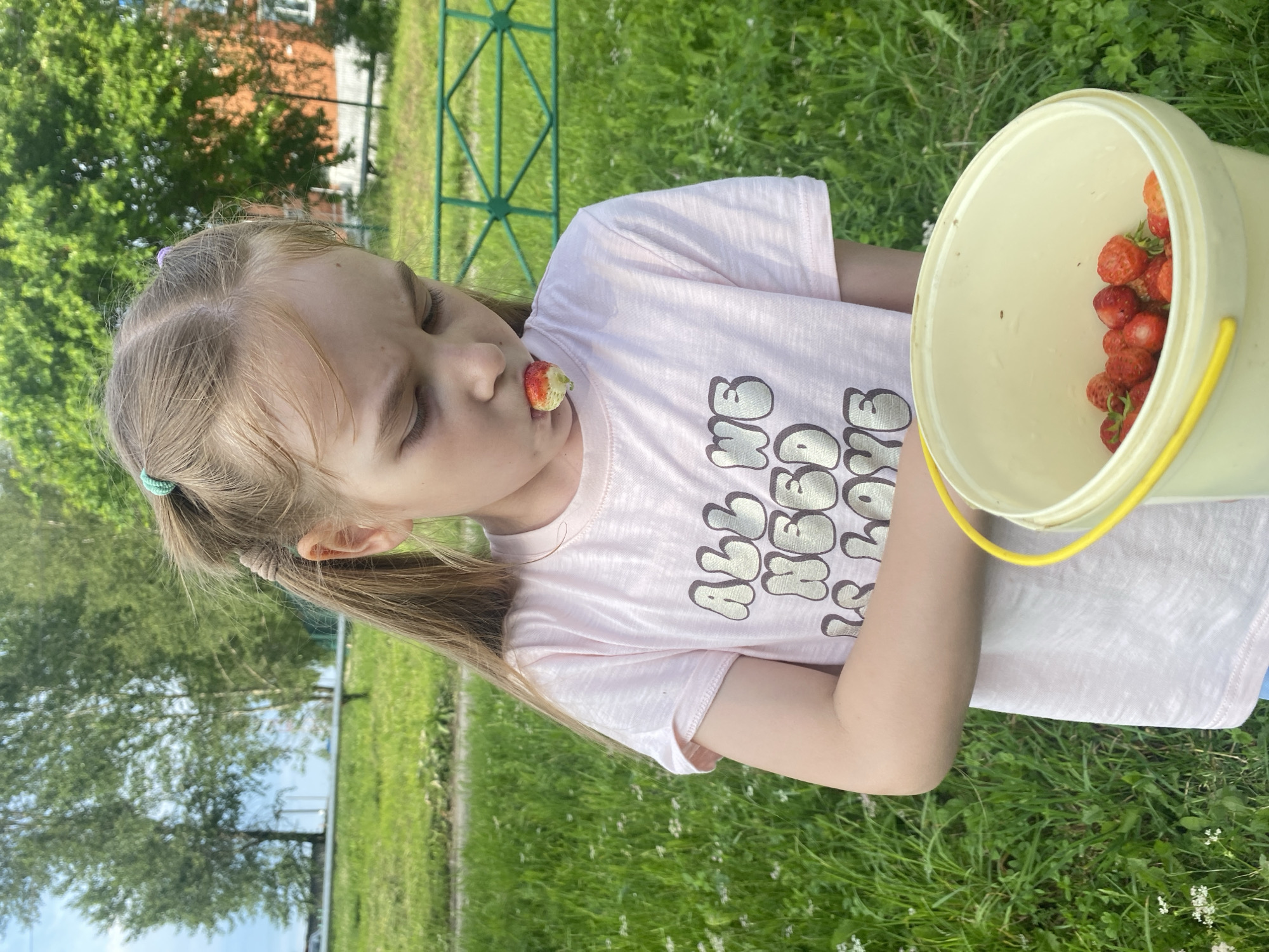 Strawberry picking and garden exploration in Novo Selo