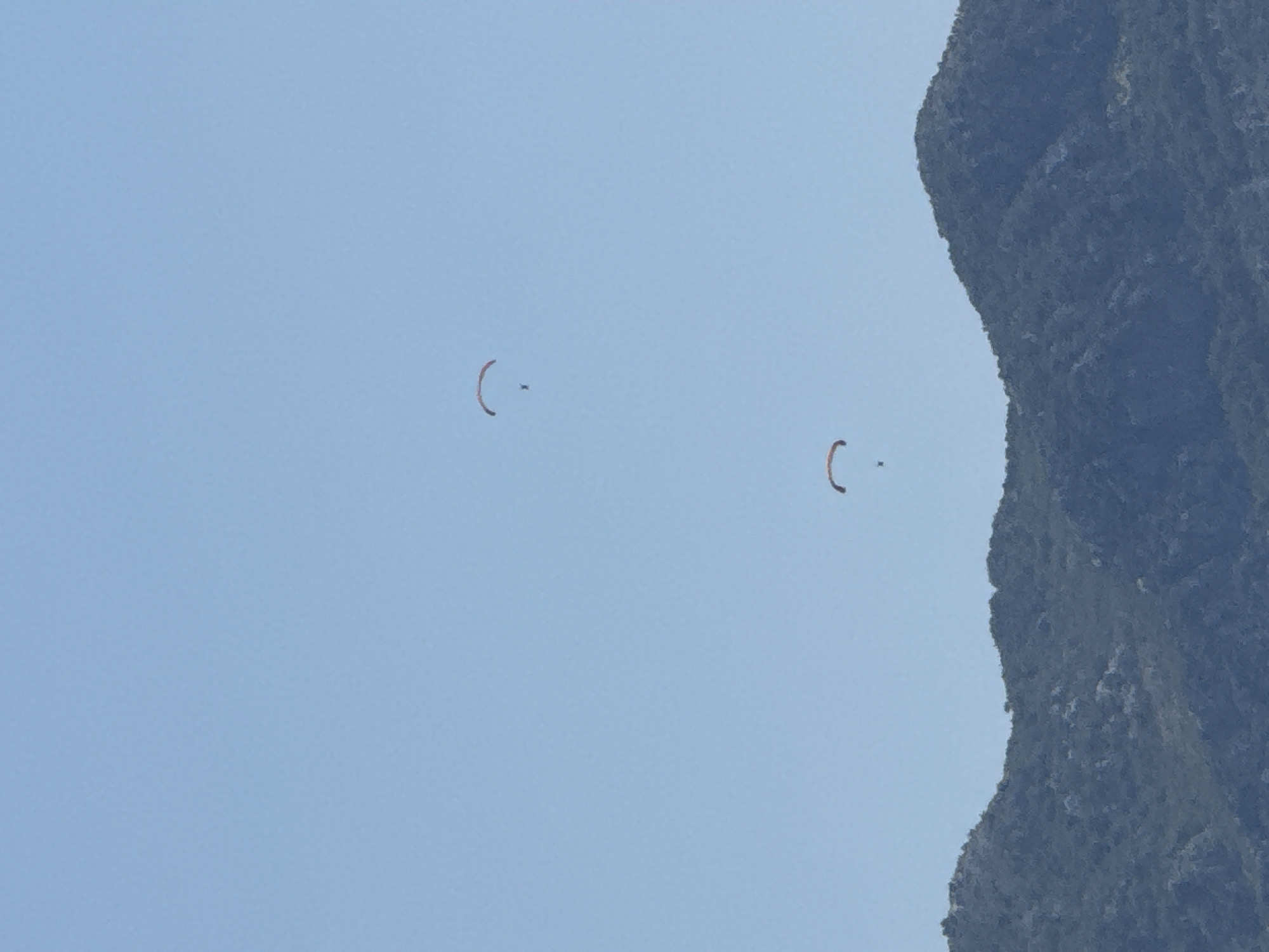 Paragliders soaring over forested mountains above Budva