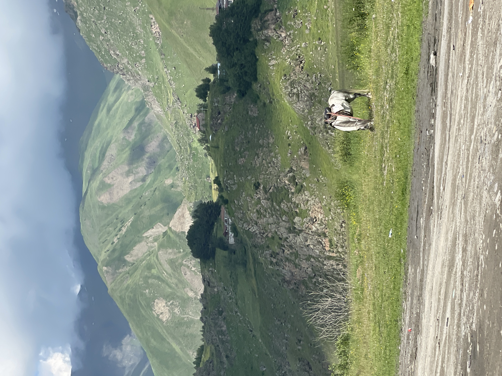 Sioni valley: horses, rivers, and mountain village at dawn