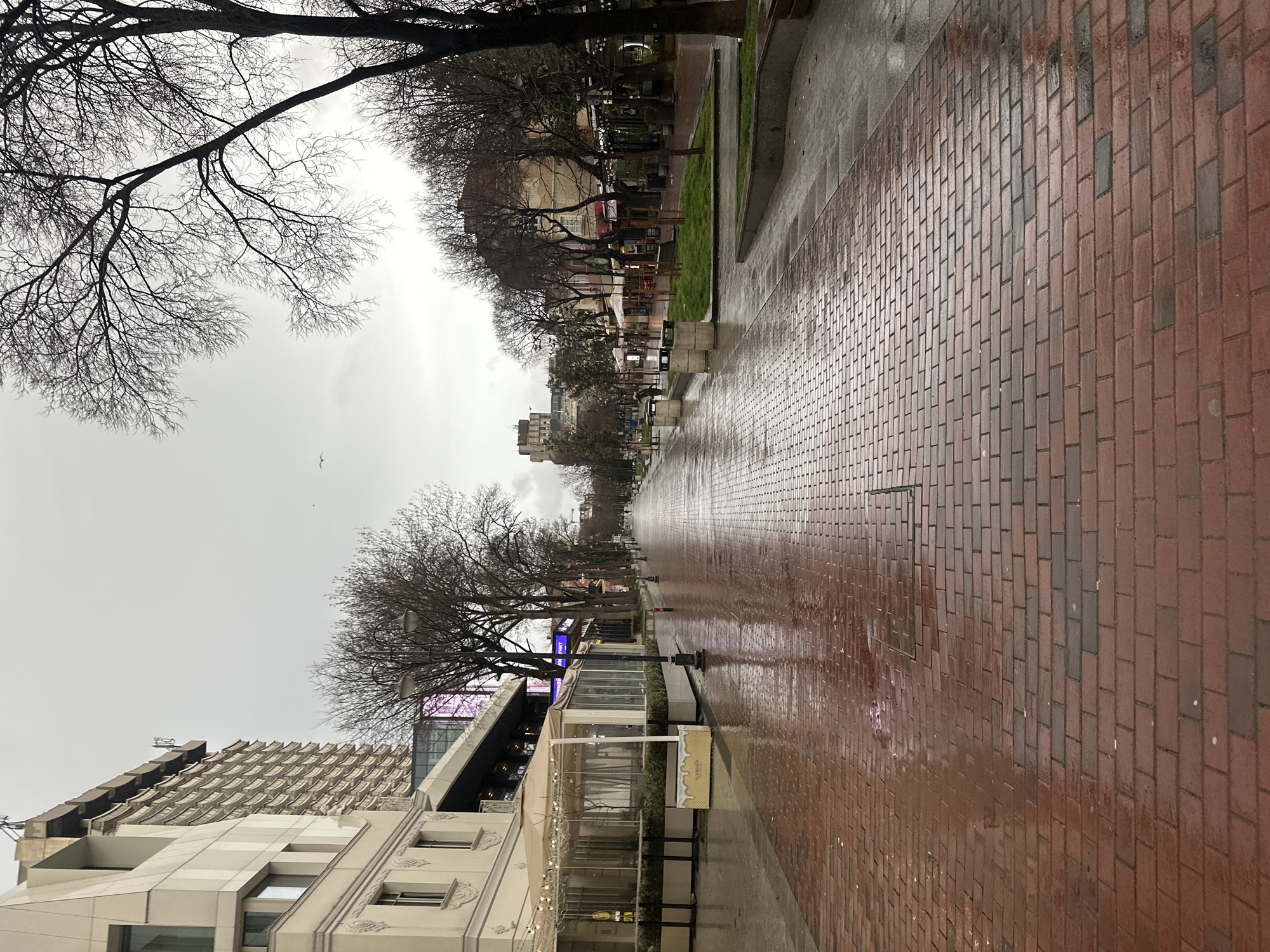 Wet street scene captured in Varna, Bulgaria