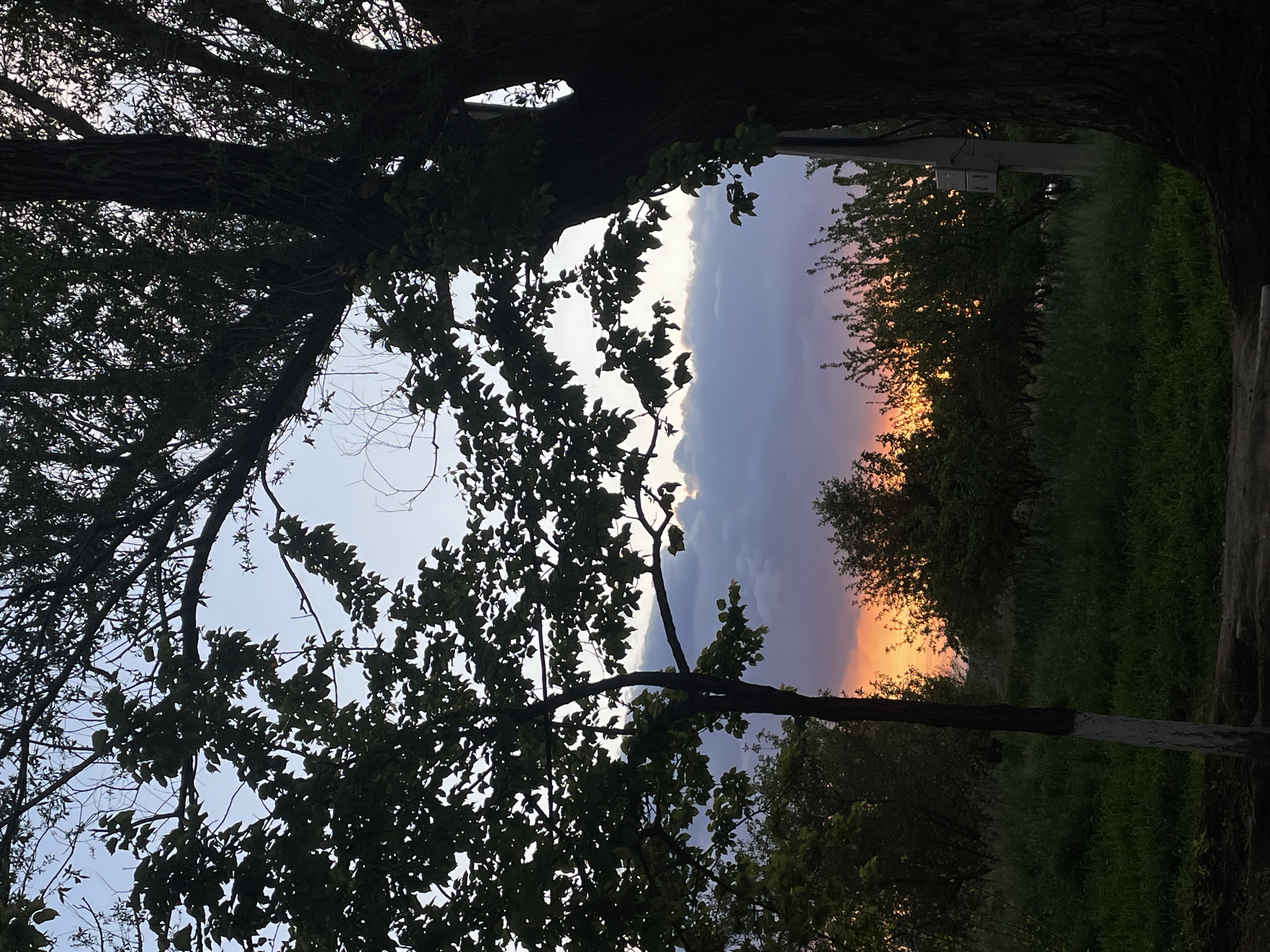 Twilight landscape captured through trees in Apaga, Armenia