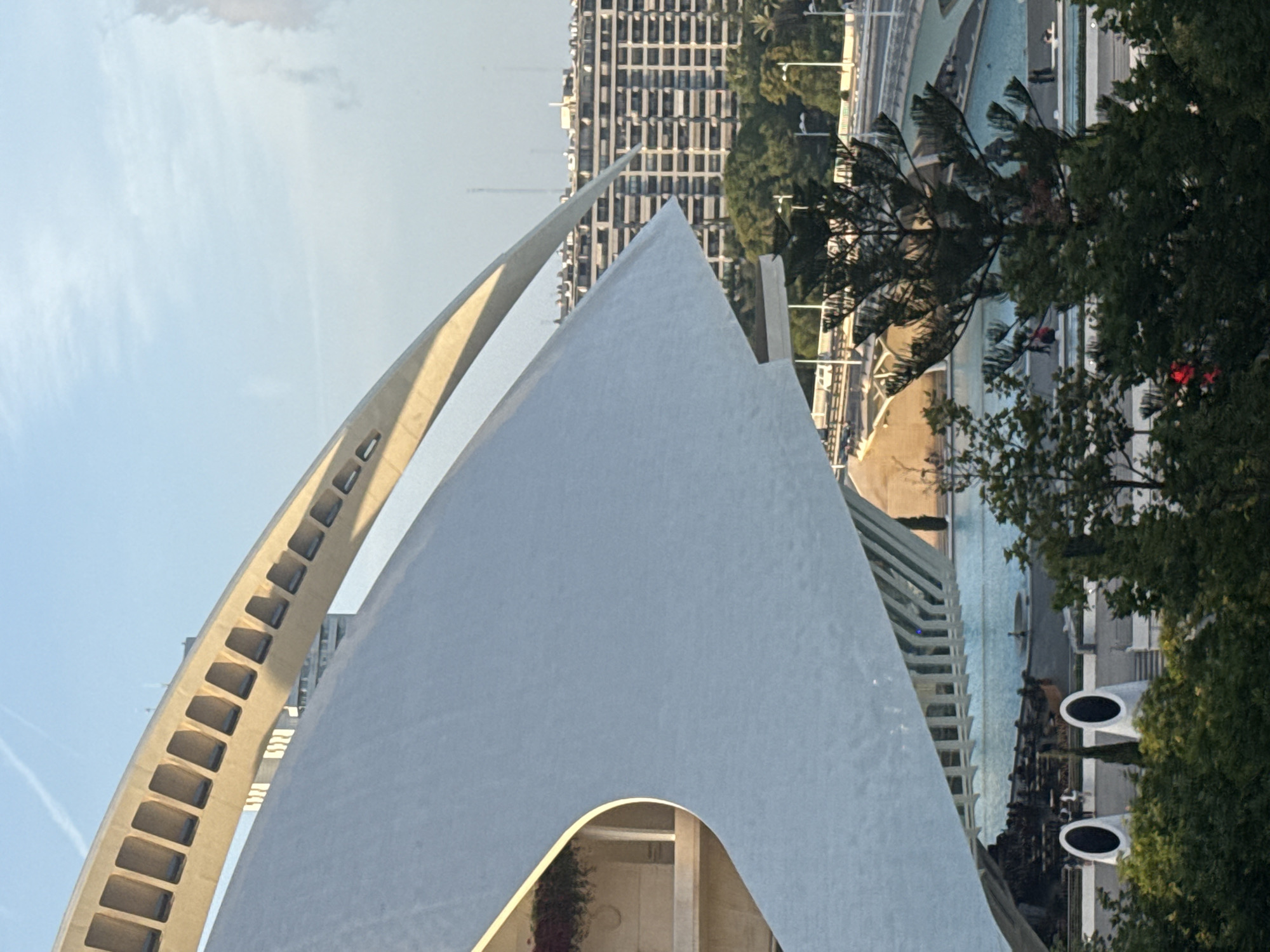 Visitor documents Valencia's City of Arts and Sciences architecture