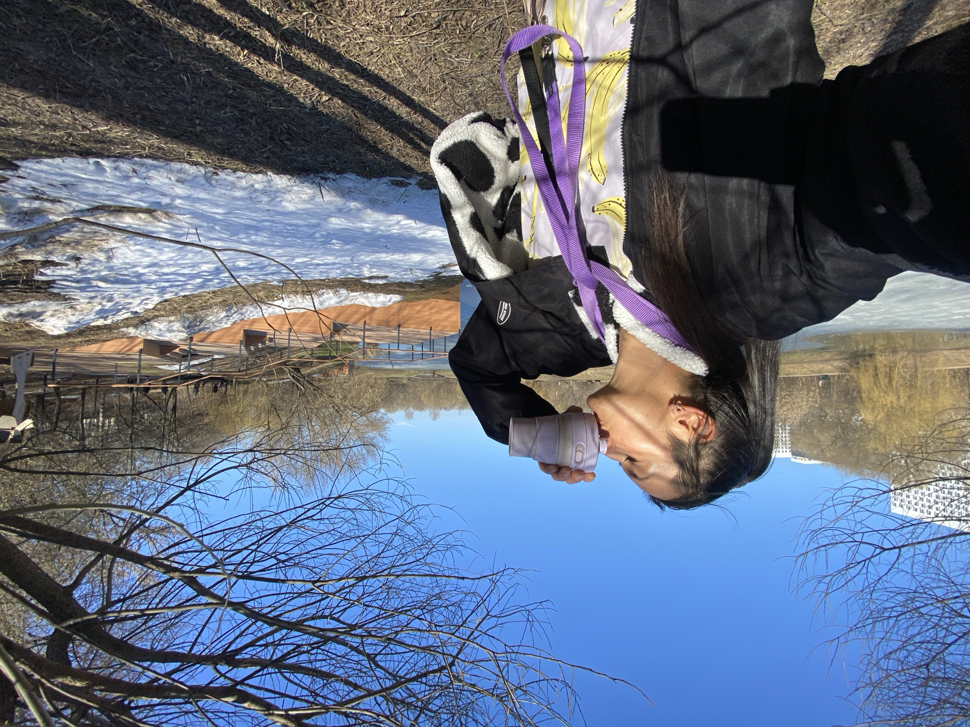 Morning dog walking activity in Moscow park area