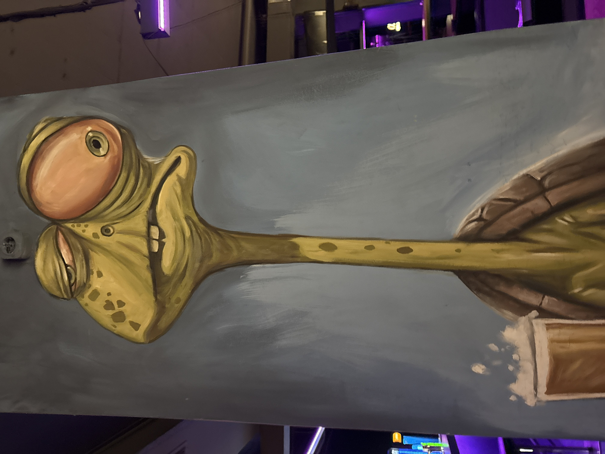 Evening leisure activities documented in Sofia: turtle artwork, pool game
