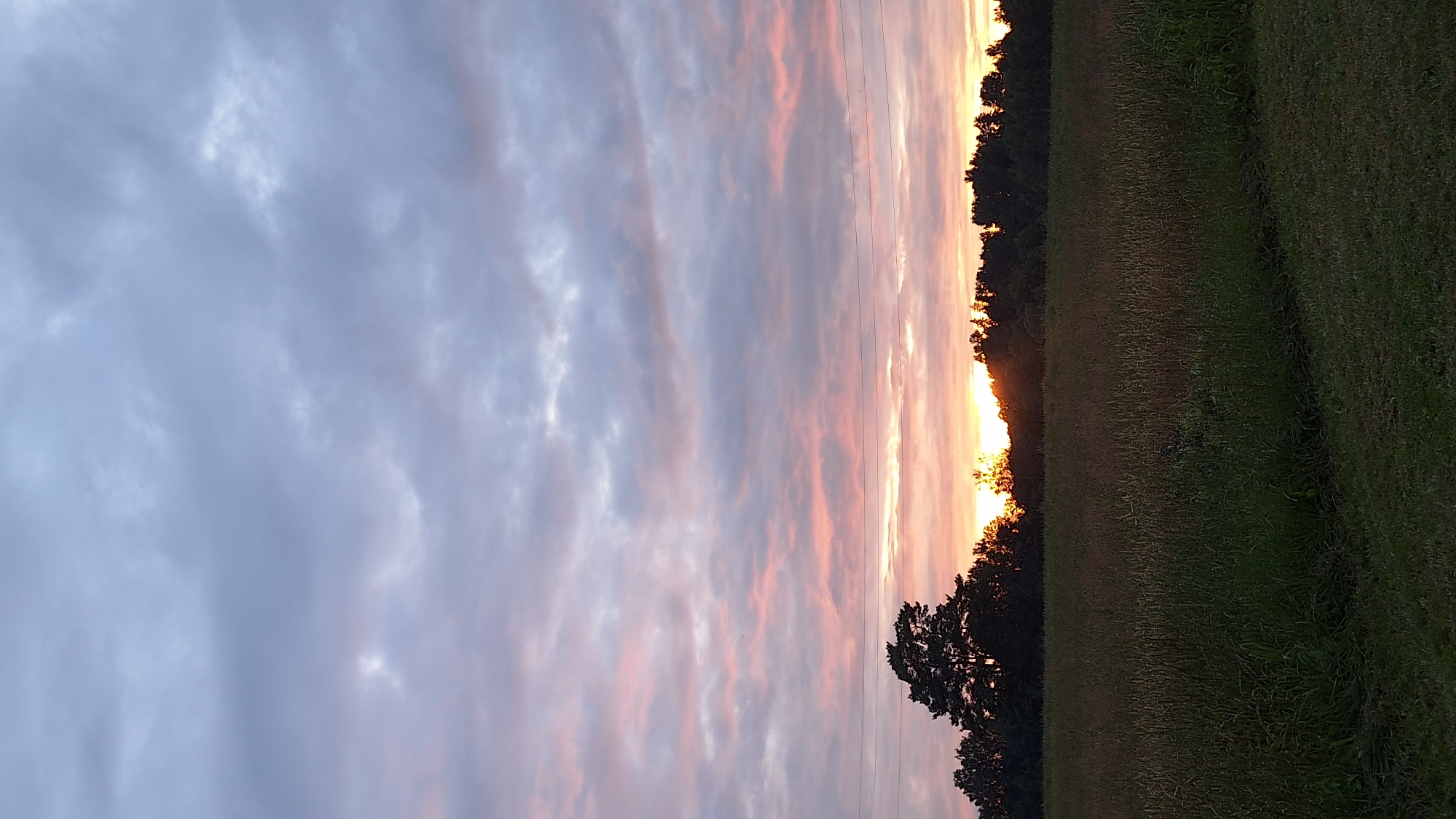 Latvian countryside at dusk: garden life and a slow sunset