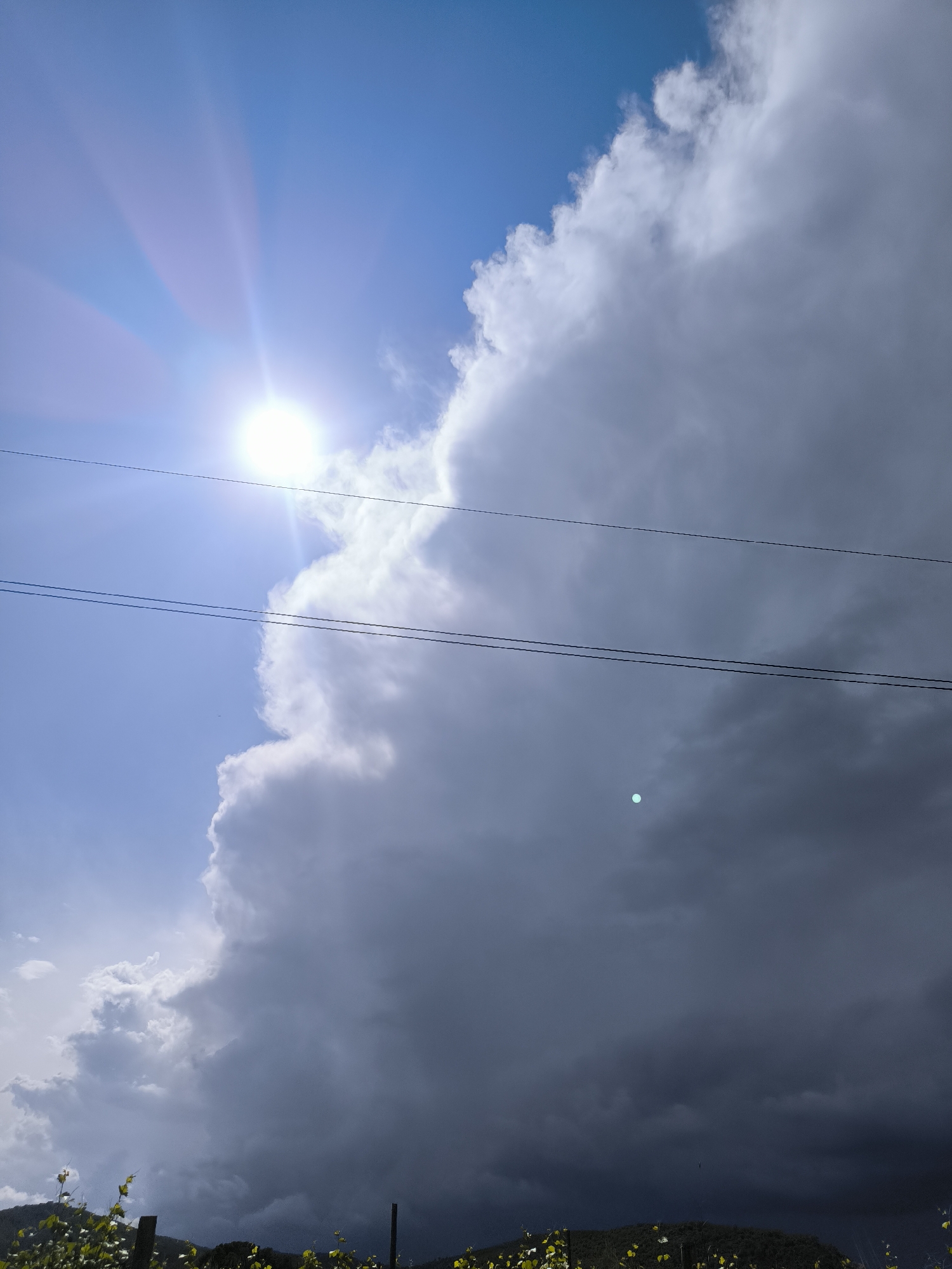 Dramatic storm clouds contrast bright sunshine over Spanish vineyards