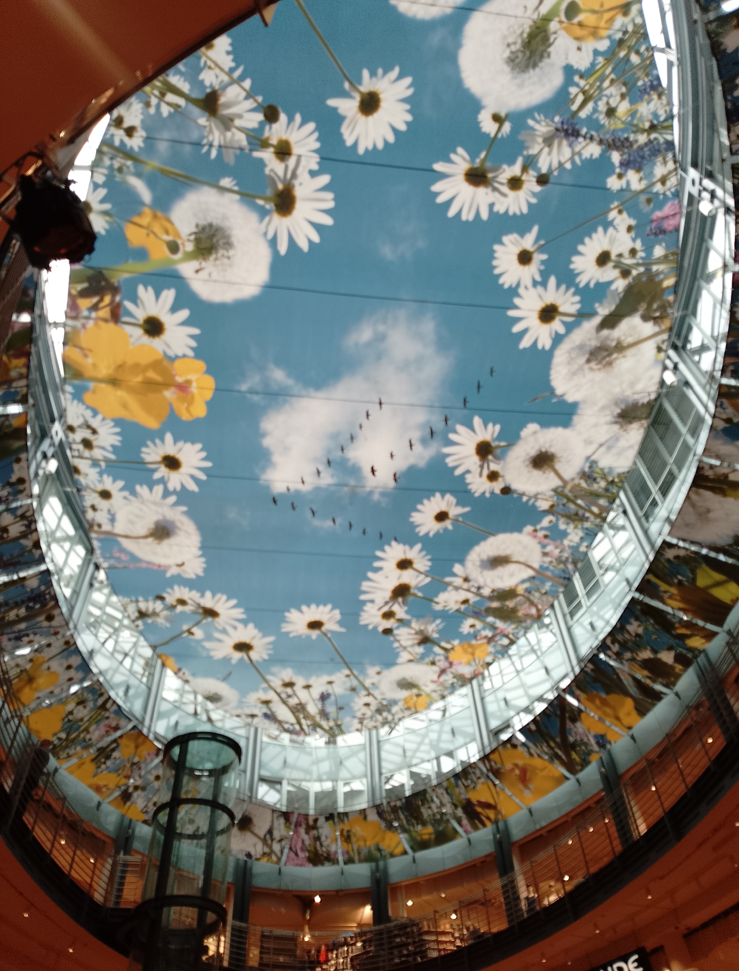 Urban shopping district, Gothic cathedral, and public art in one morning