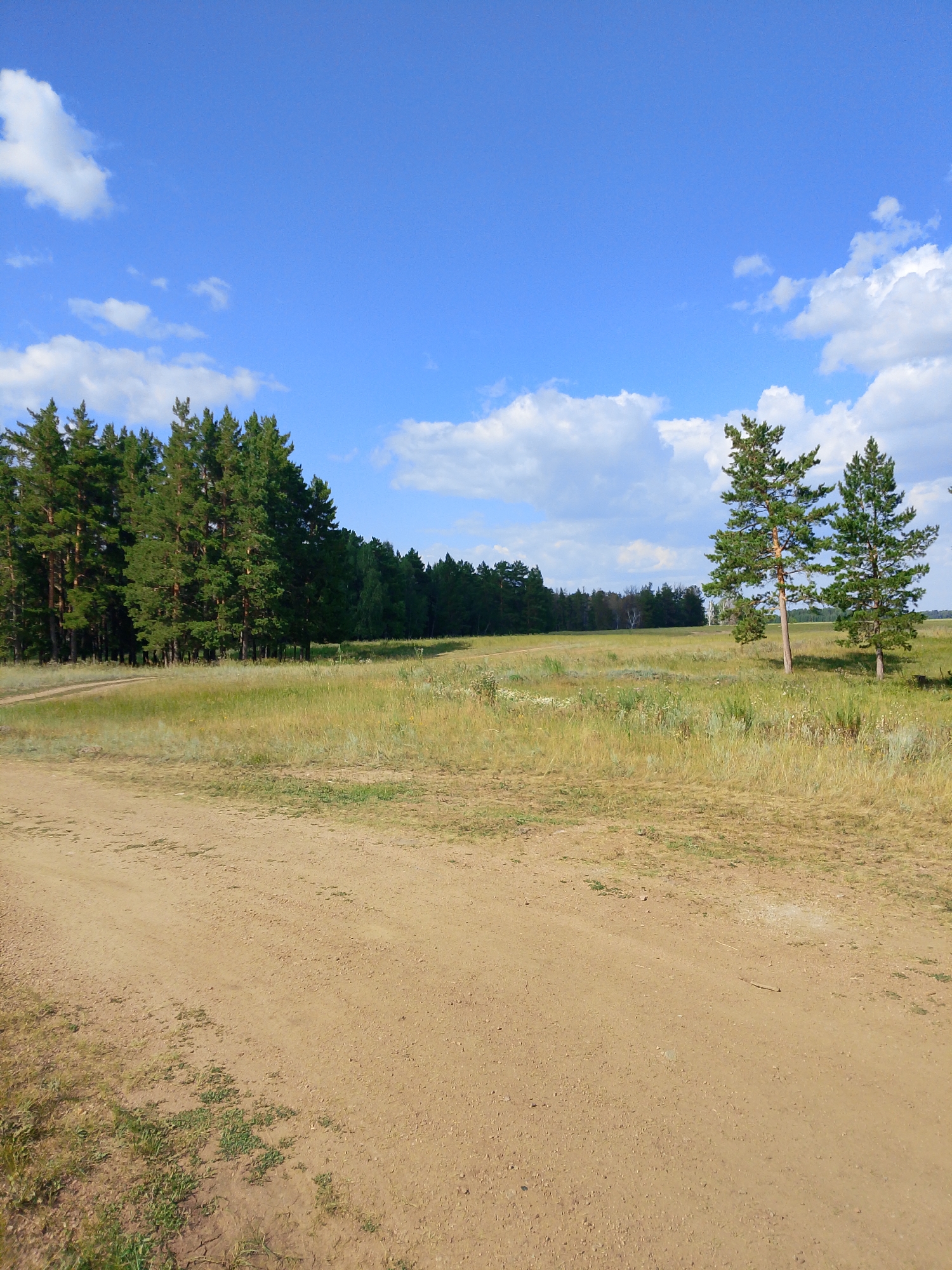 Dirt road through Kazakhstan grassland on a clear summer day