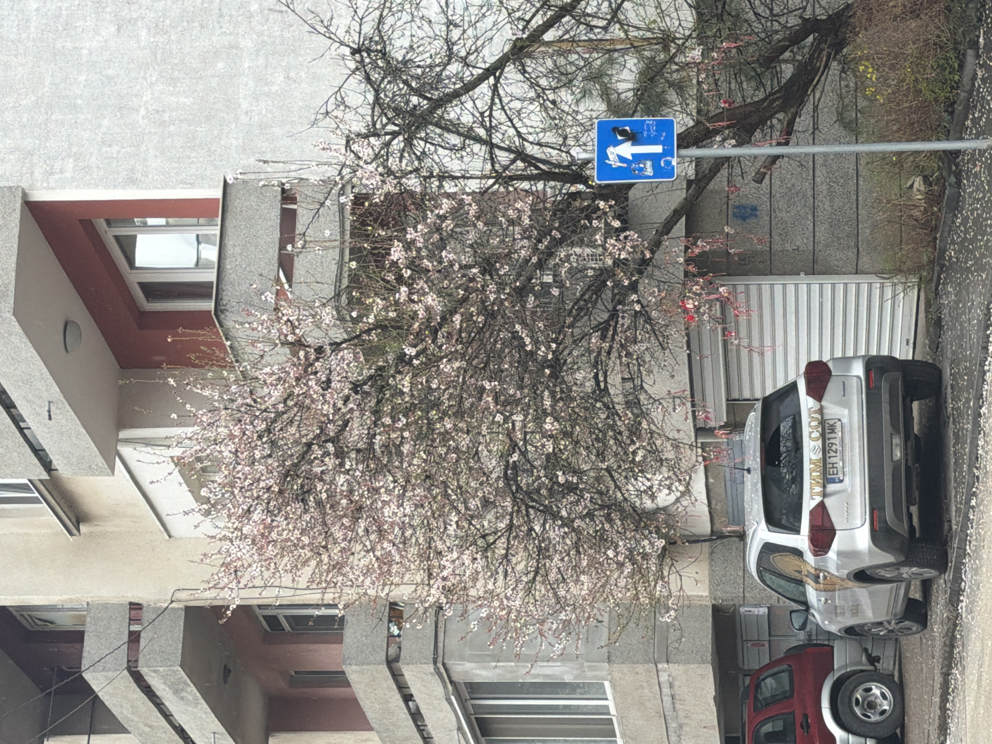 Spring morning urban scenes documented in Pleven, Bulgaria