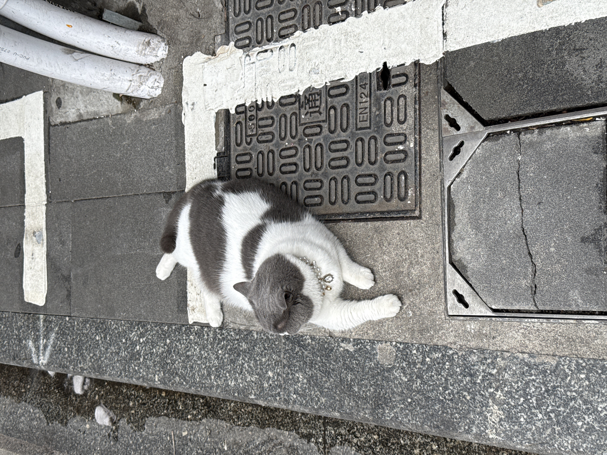 Morning street scenes captured in Guangzhou's Liwan District