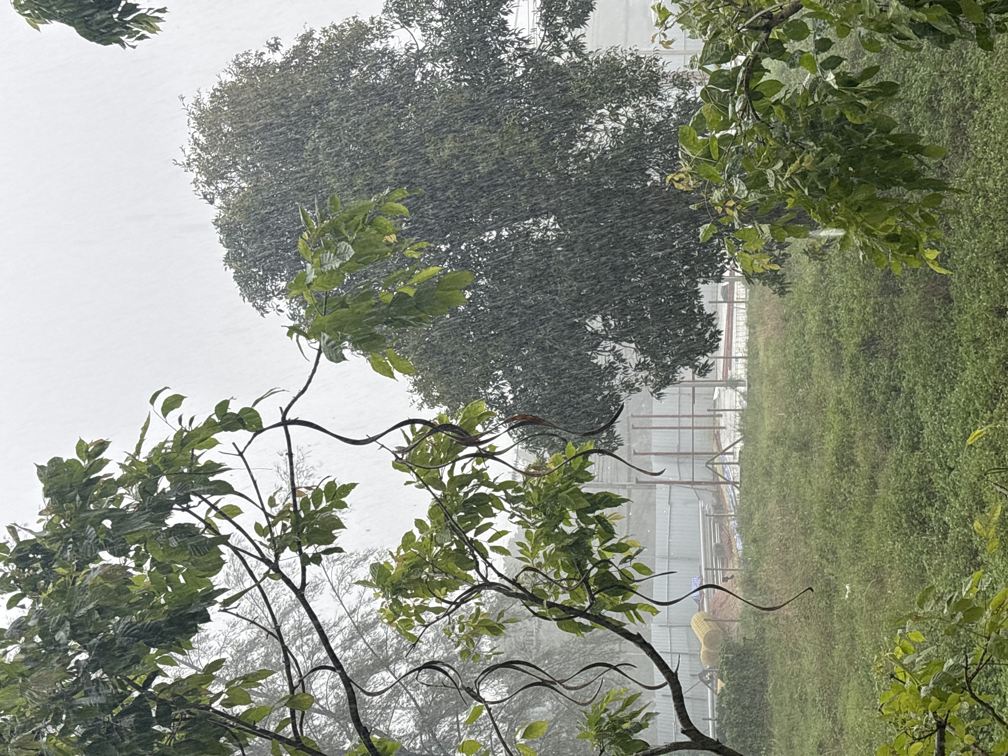 Woman drinks water during heavy rainfall in Thailand