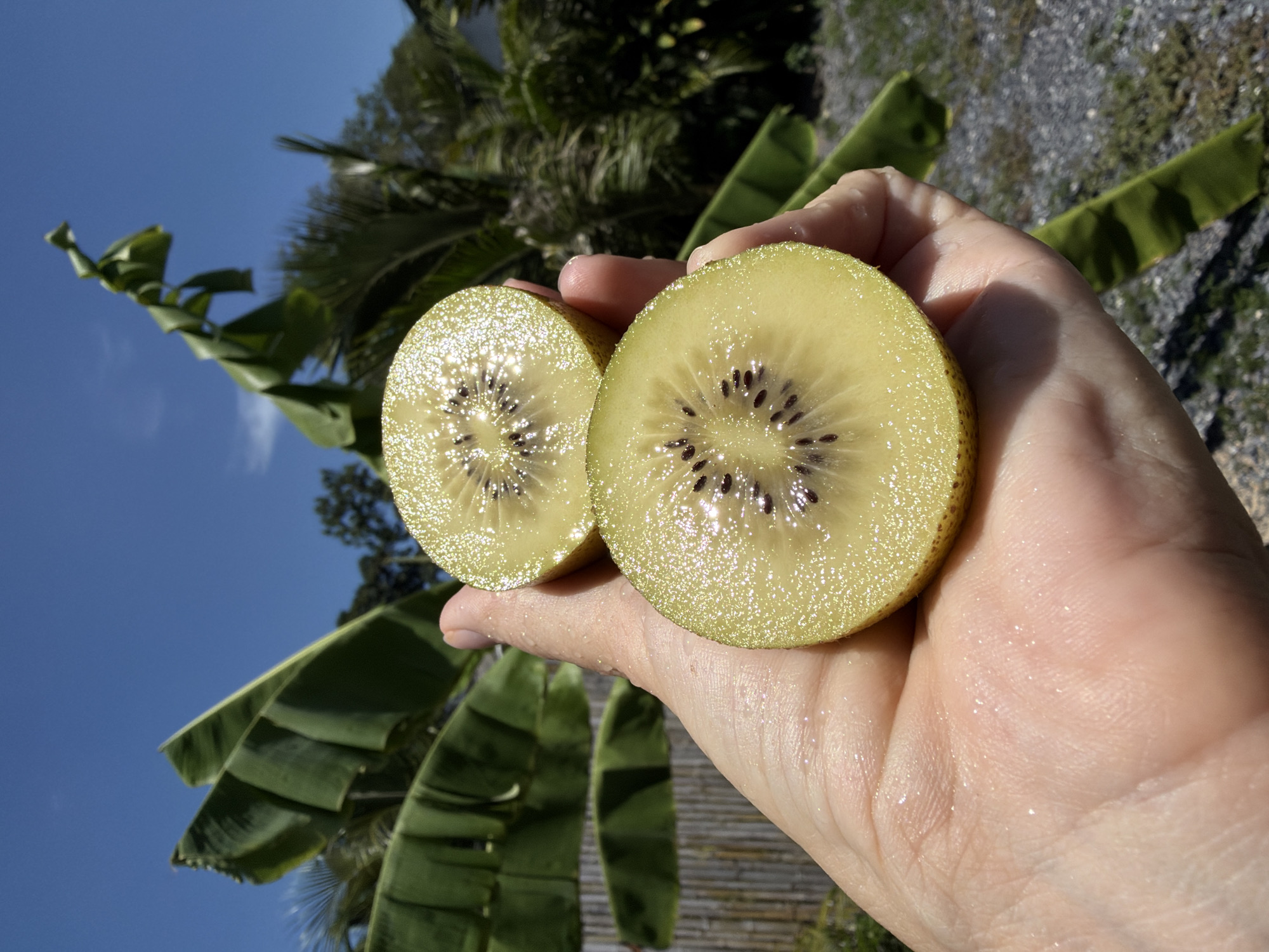 Golden kiwis, air fryer snacks, and a straw hat in Ko Samui