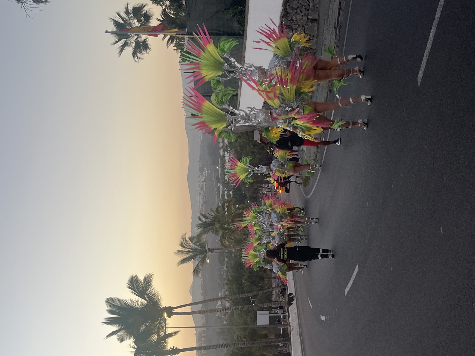 Carnival parade features costumed participants across Gran Canaria towns