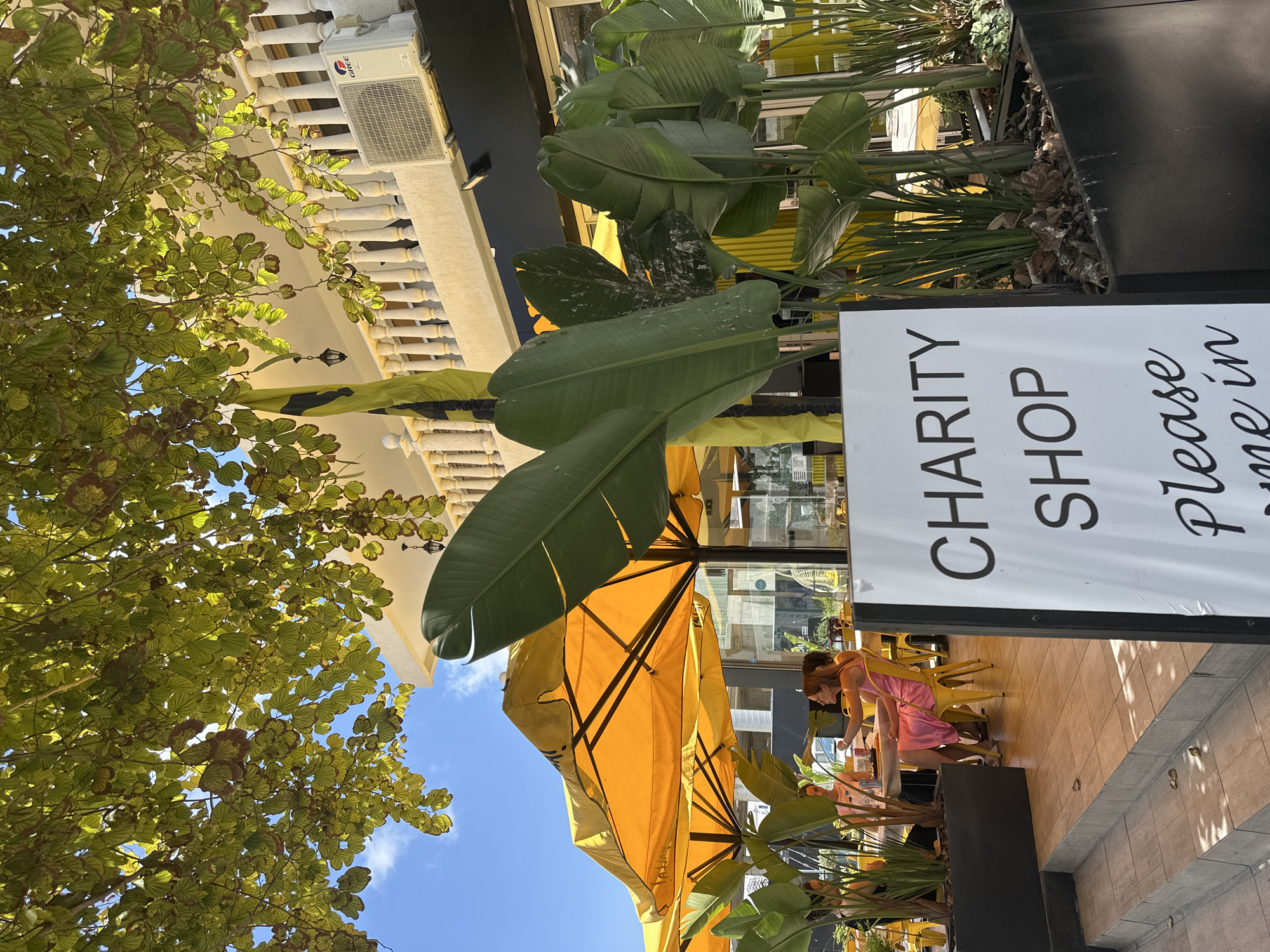 Morning around Paphos — streets, fruit trees, and a shopping mall